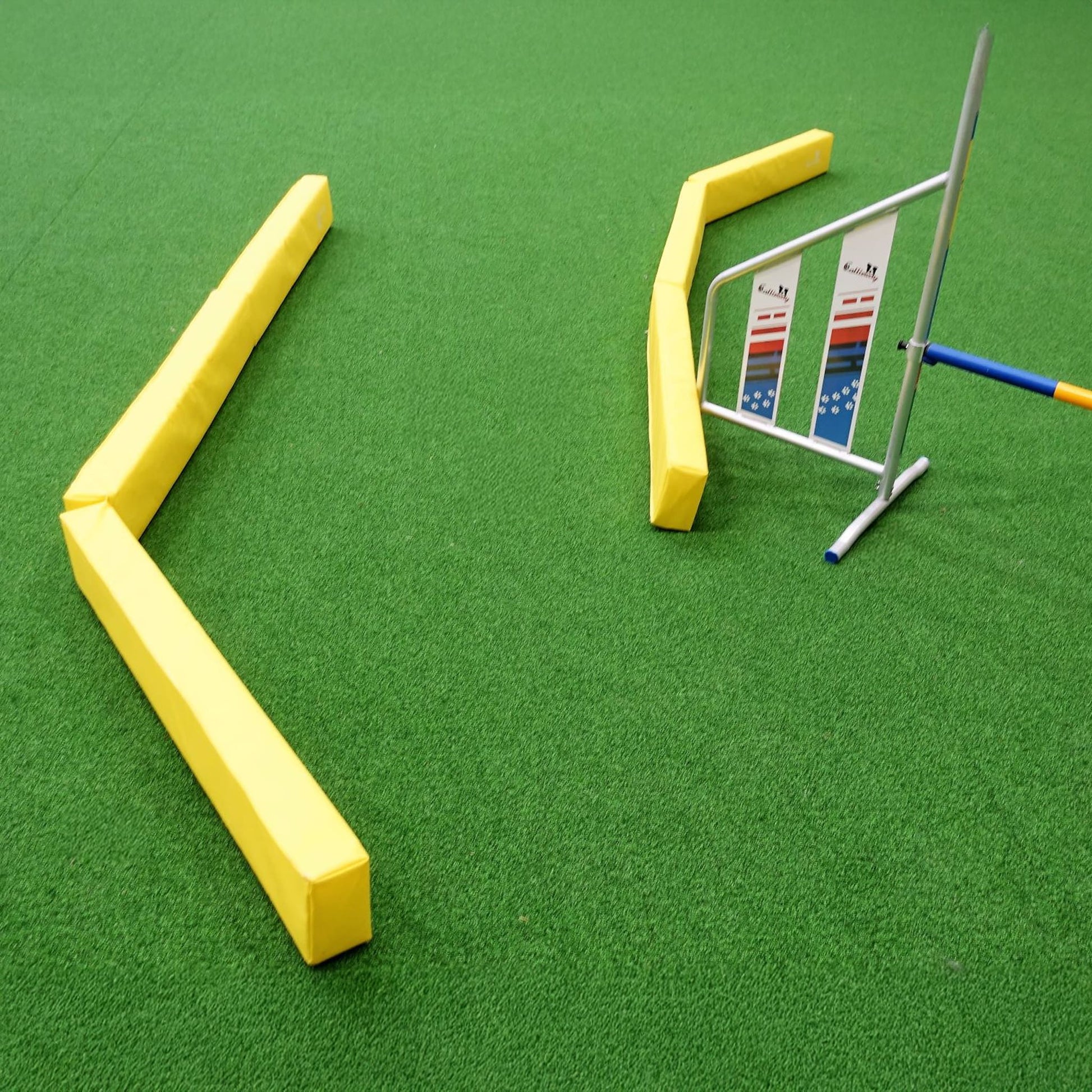 Callieway Runway Bahnen für Bodenarbeit im Hundetraining