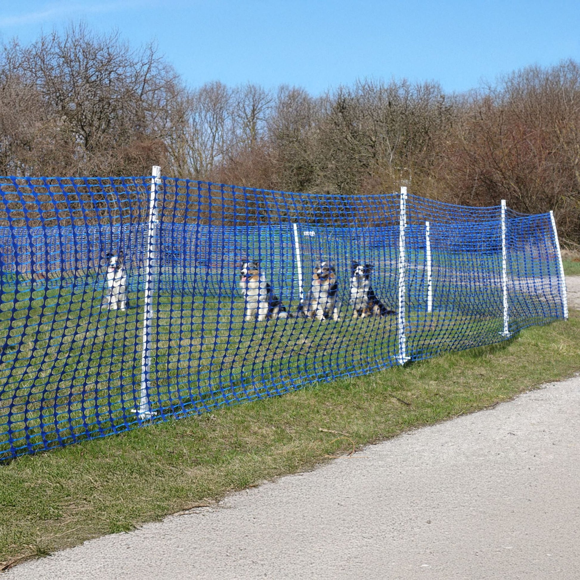 Callieway Camping Zaun für sichere Hunde Abzäunung