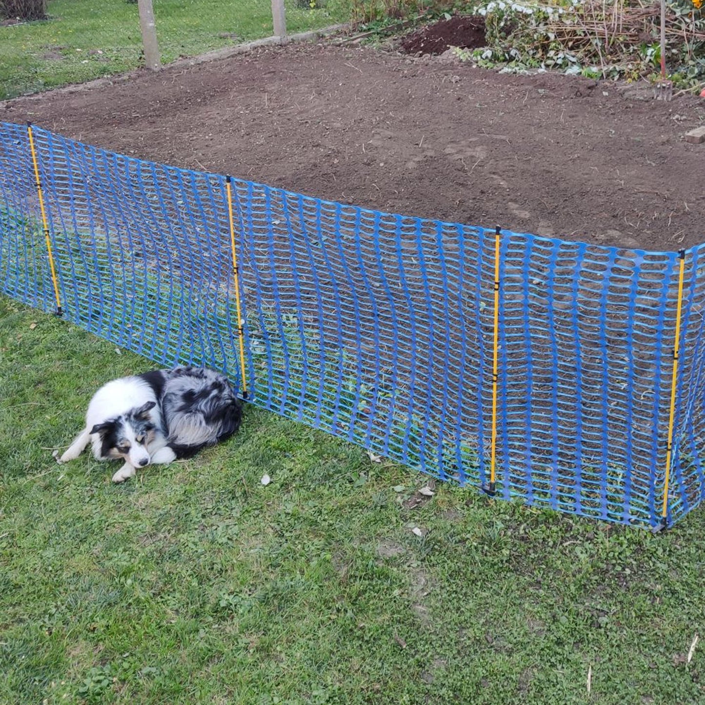 Callieway mobiler Hundezaun Blau als Camping Abzäunung