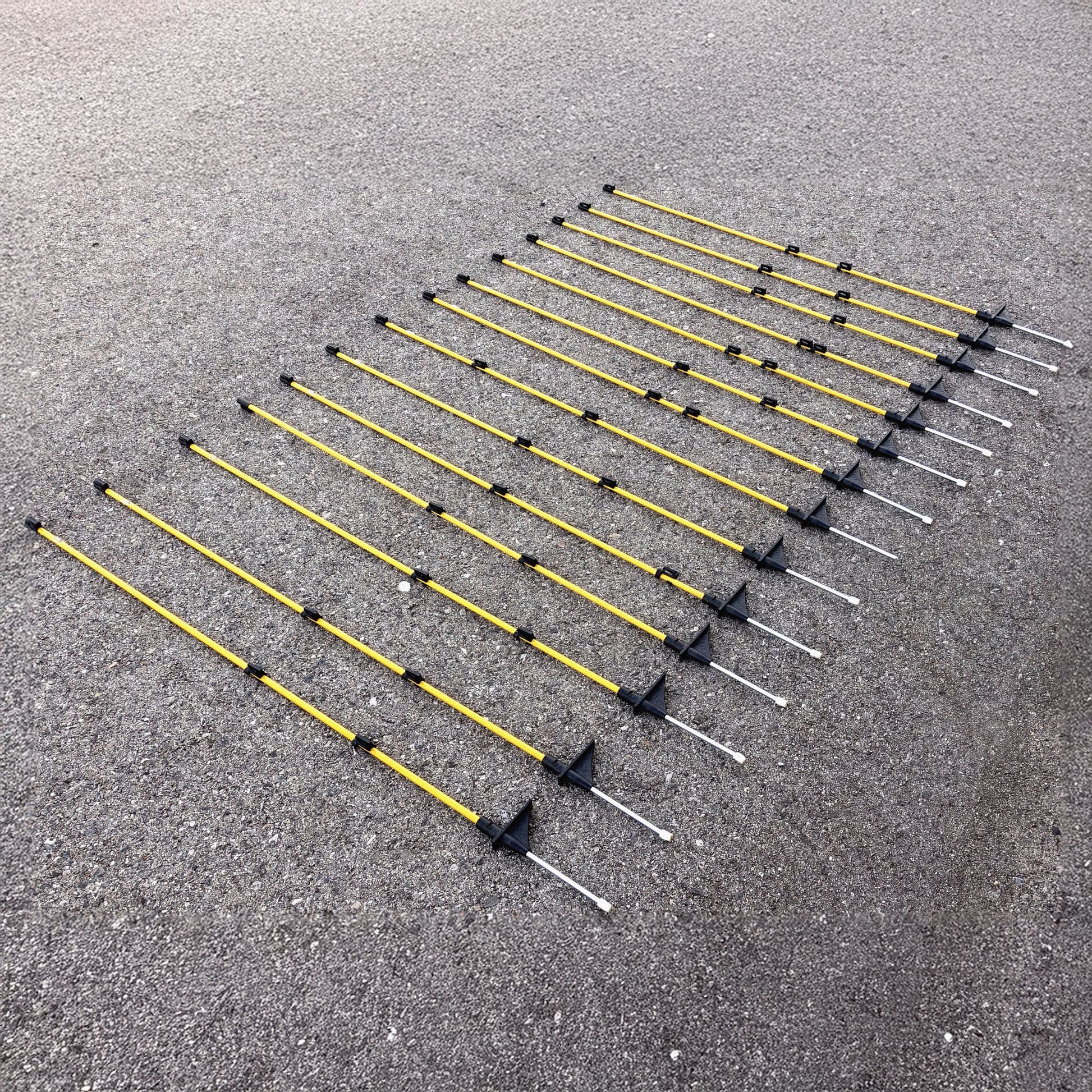 Callieway Zaunpfosten für Camping Hundezaun im Einsatz