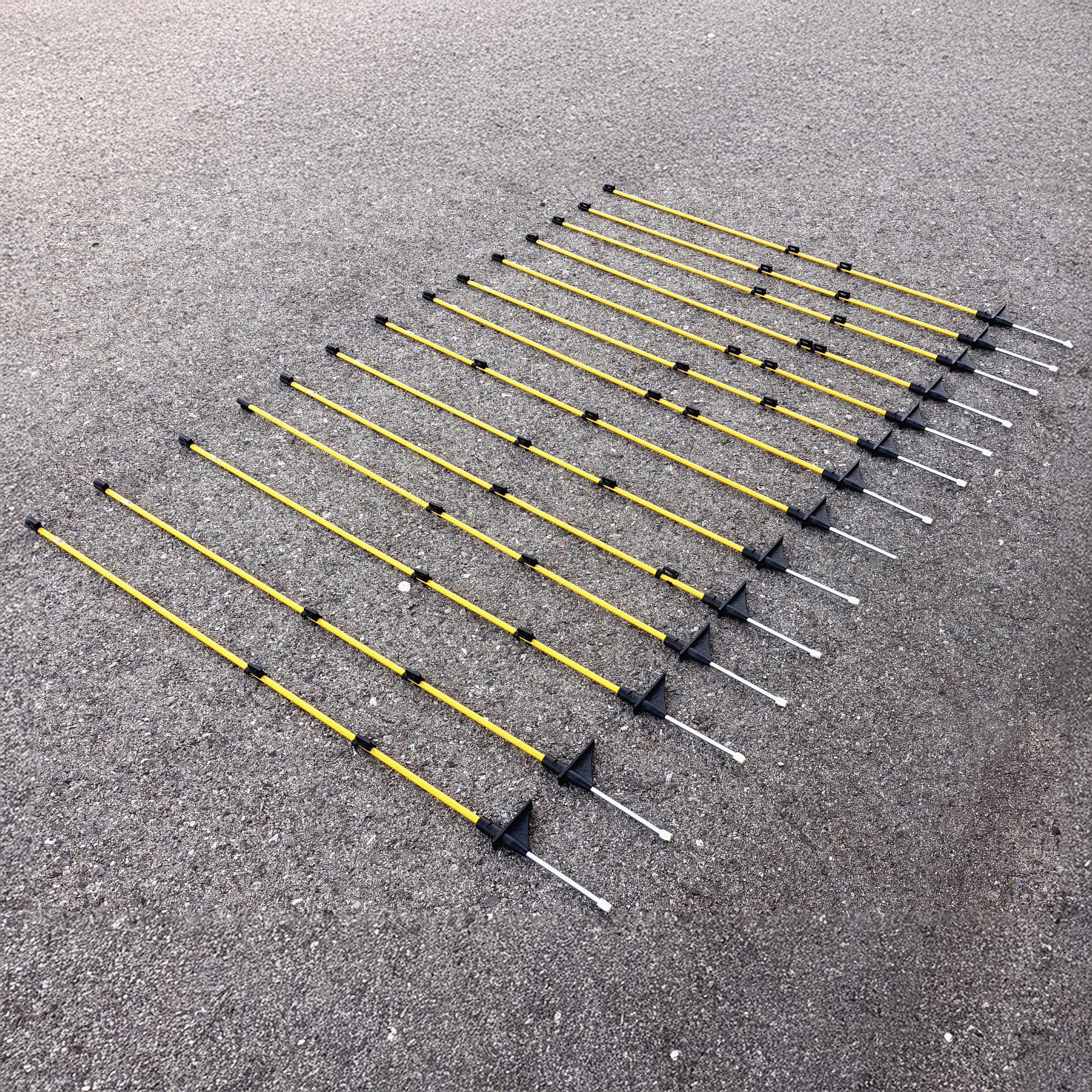 Callieway Zaunpfosten für Camping Hundezaun im Einsatz