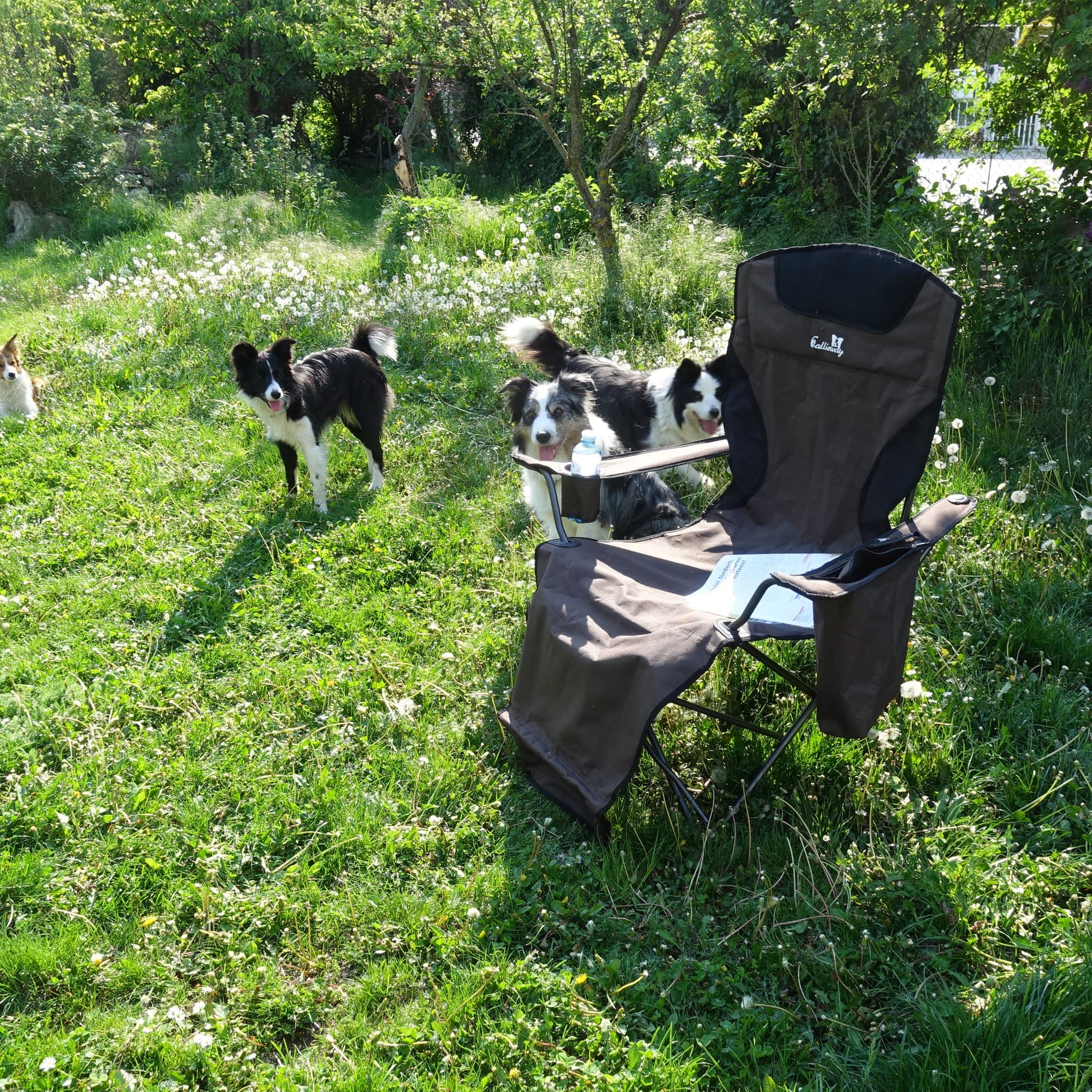 Callieway klappbarer Campingstuhl braun beige im Outdoor Einsatz auf Wiese