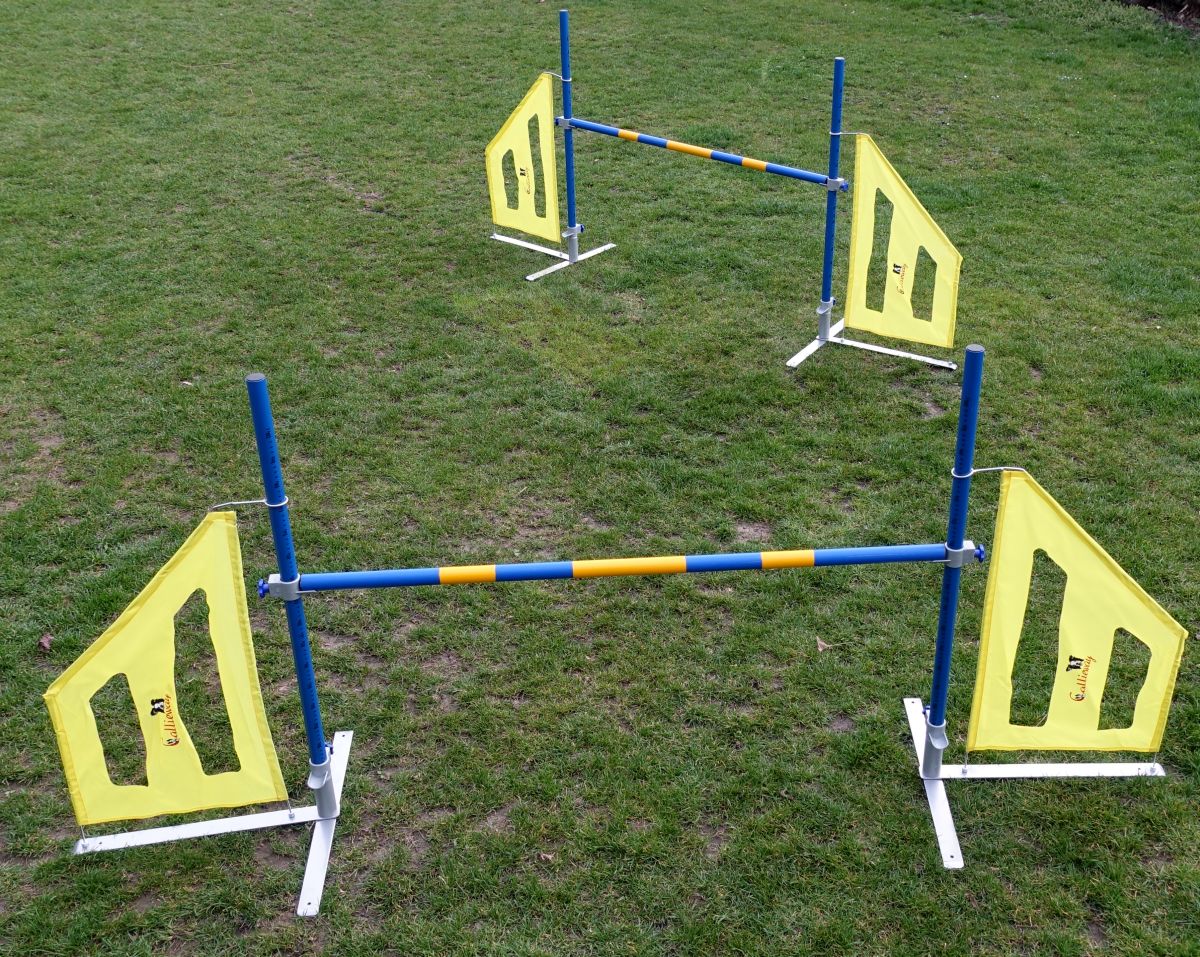Callieway Dog Agi Jump Pro III Agility Hürden Set mit Wurfstangen auf Trainingswiese