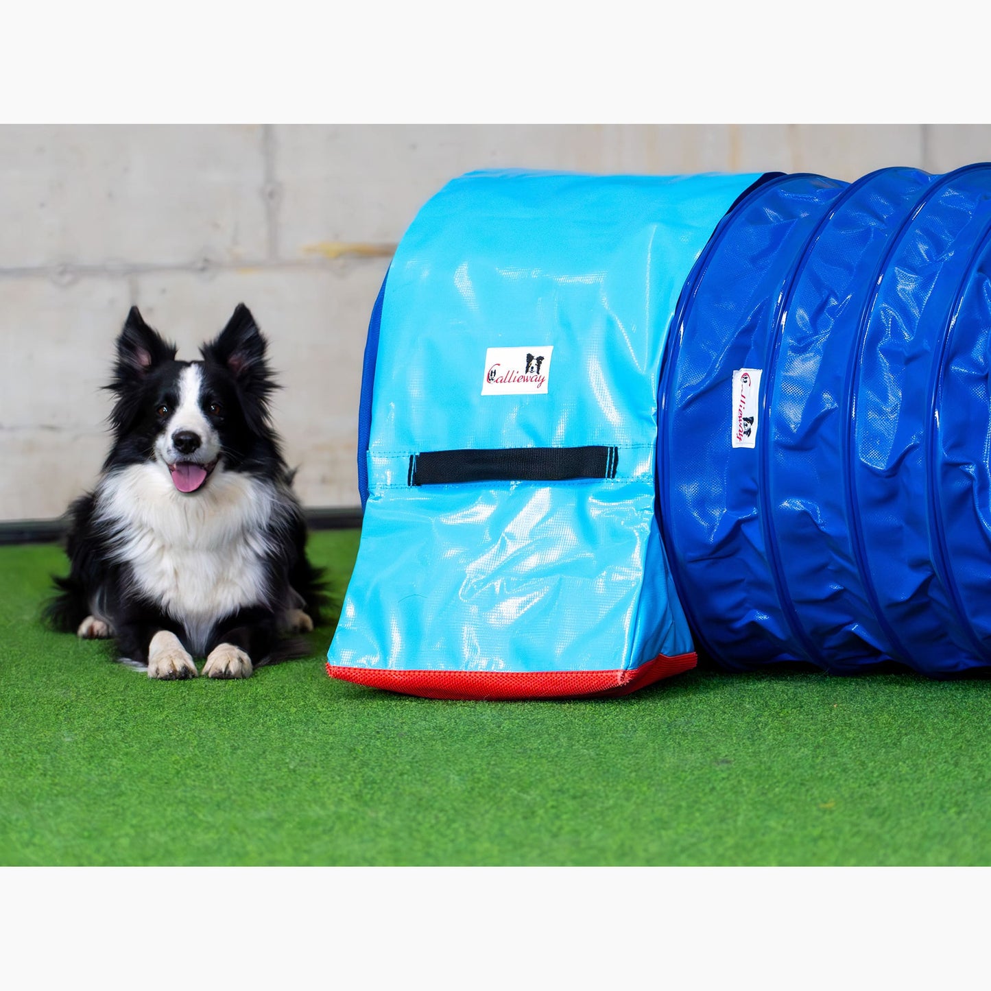 Callieway FullGrip Agility Tunnel Blau 6 Meter im Hundetraining