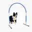 Hund trainiert mit Callieway Hoopers Agility Bogen