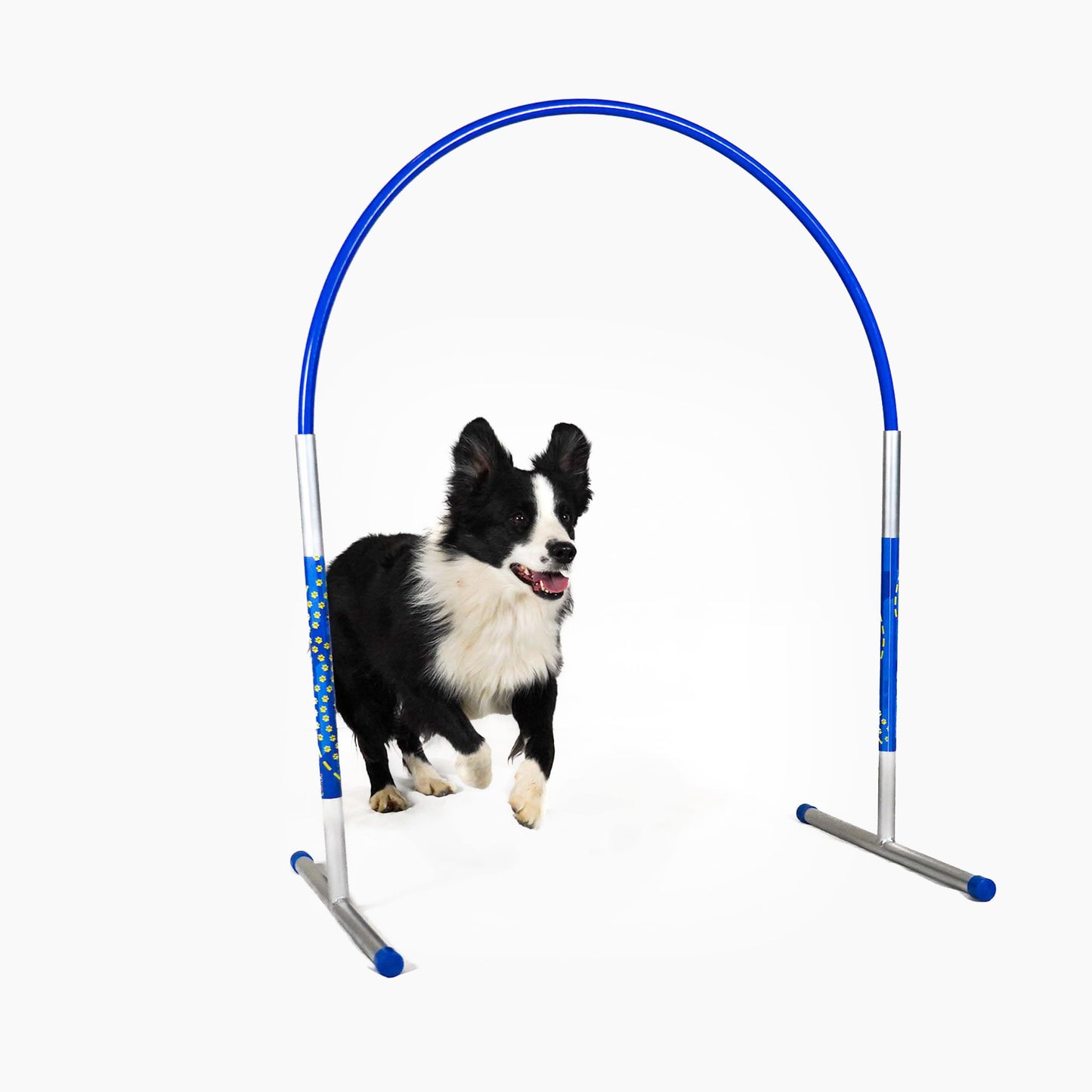 Hund trainiert mit Callieway Hoopers Agility Bogen