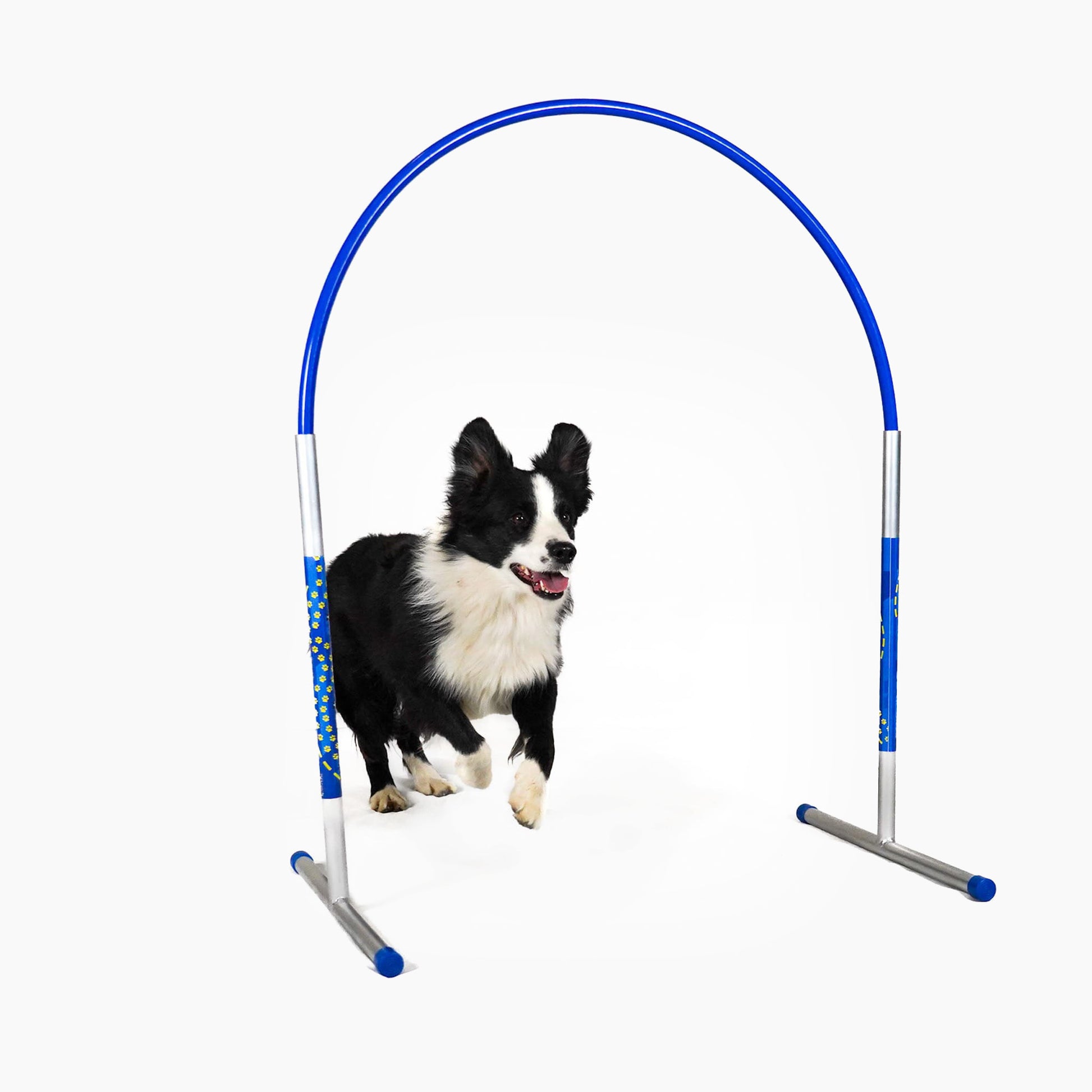 Hund trainiert mit Callieway Hoopers Agility Bogen