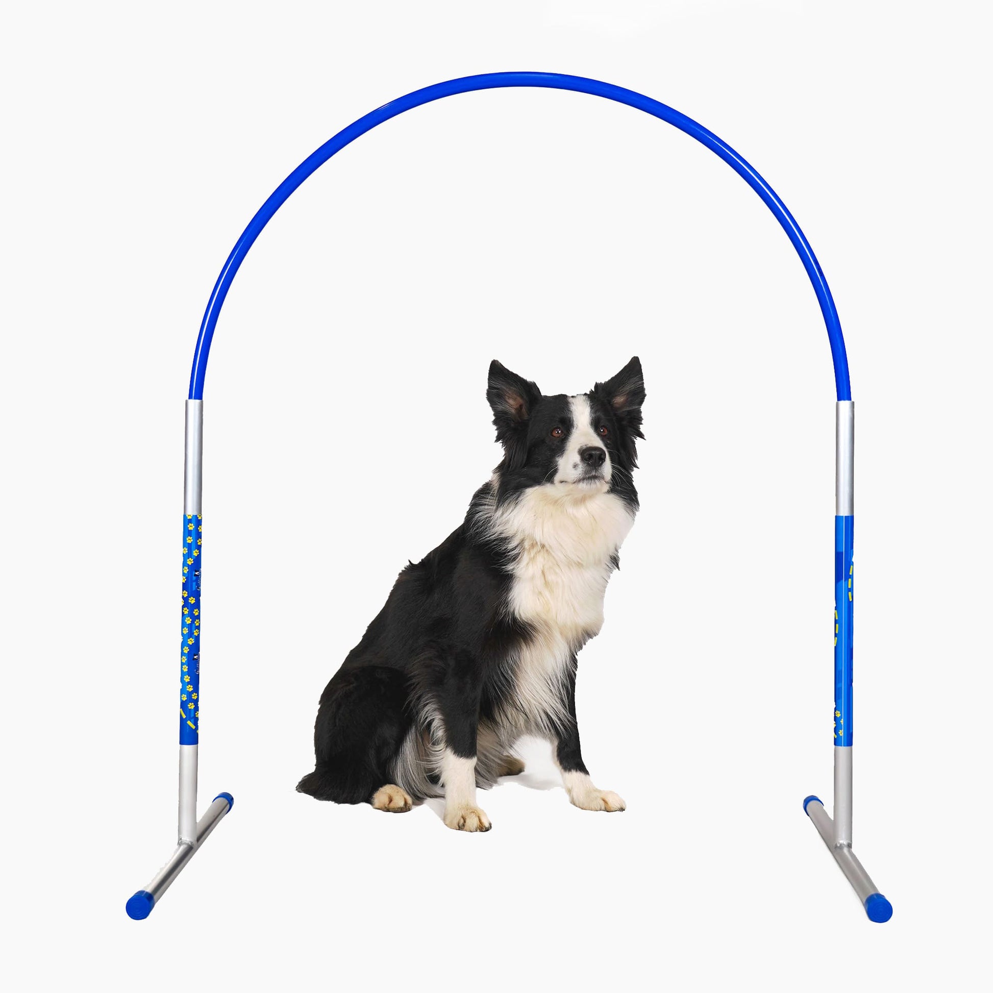 Hund läuft durch Callieway Hoopers Agility Bogen