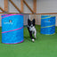 Hoopers agility barrel (twinpack)