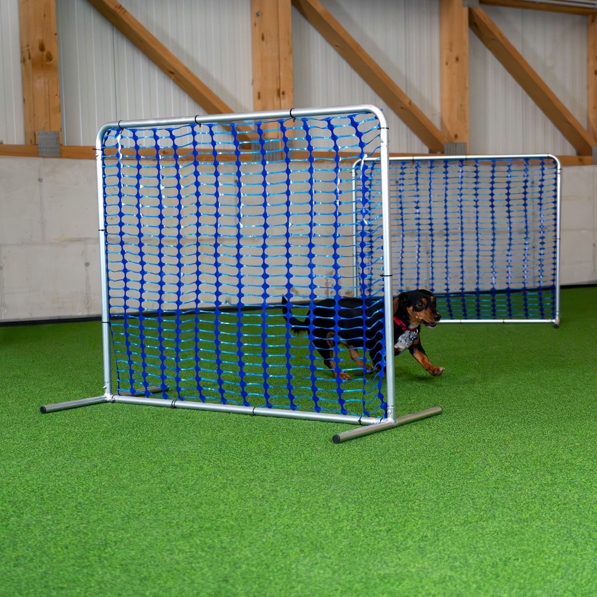 Hund trainiert mit Callieway Hoopers Barrel Gatter auf einem Parcours