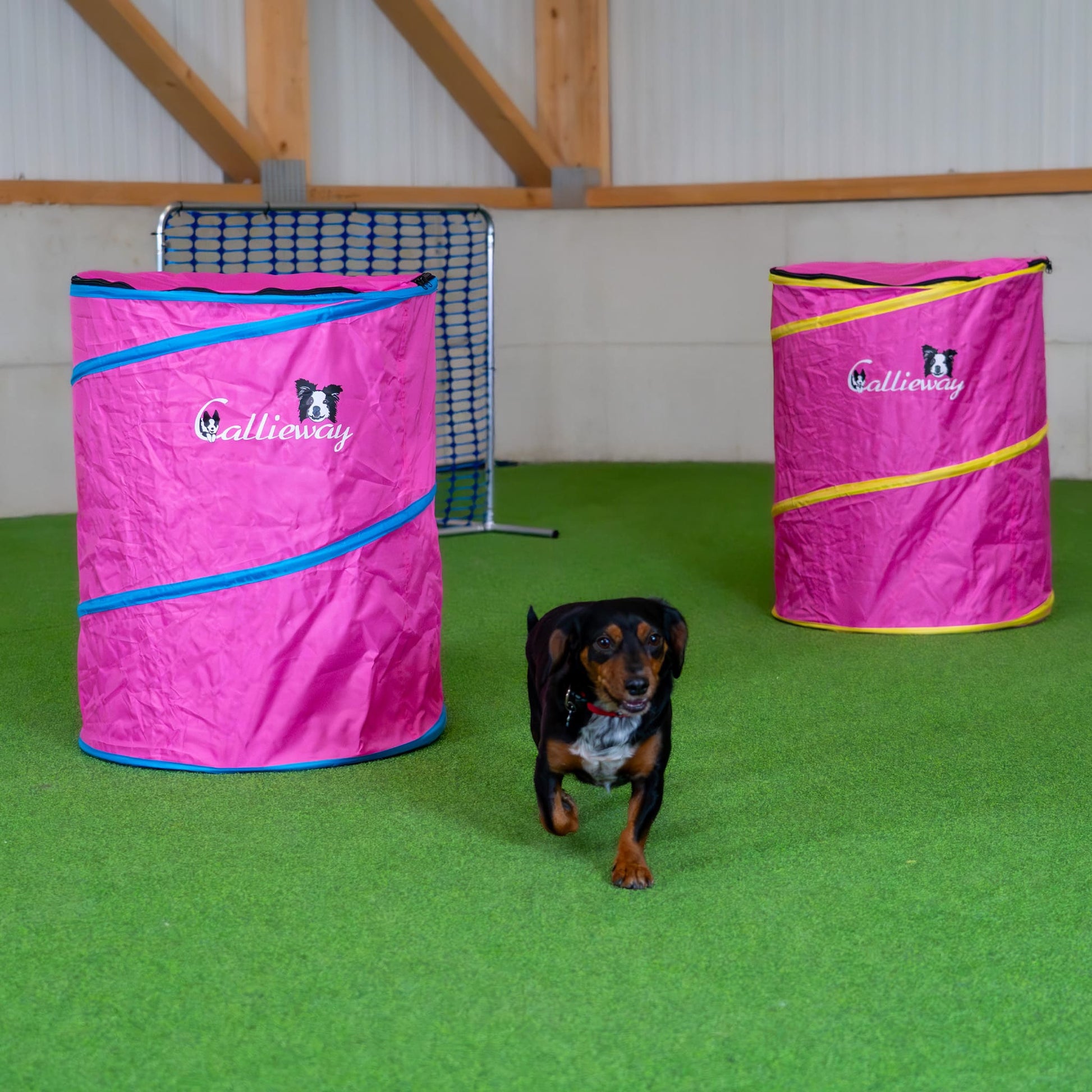 Callieway Hoopers Barrel Tonne Pink für Hundetraining