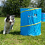 Cane in piedi dietro il barile blu Callieway Hoopers su un percorso di addestramento.