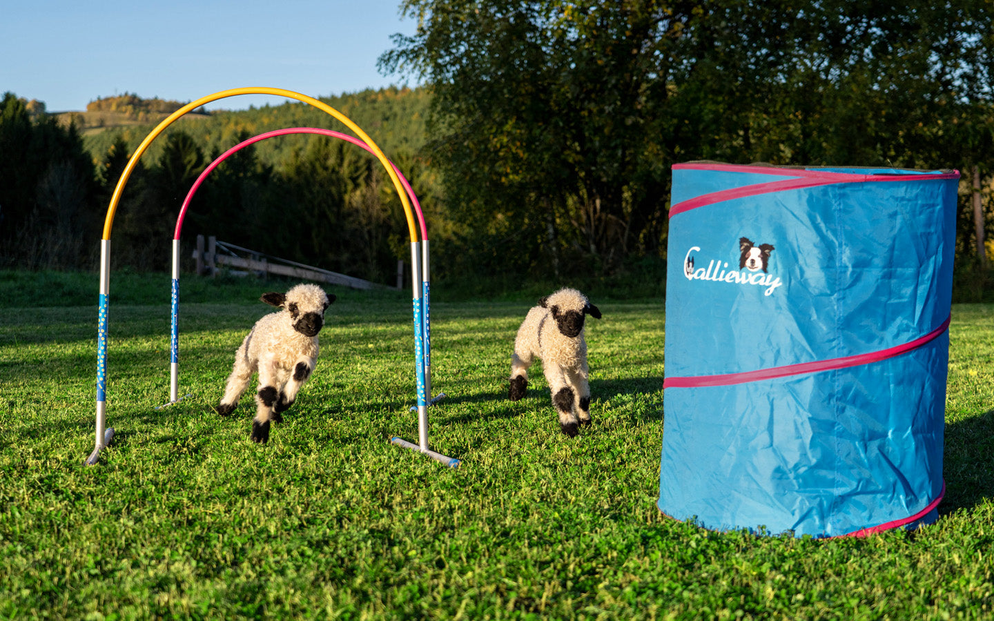 Callieway Hoopers Set mit Hoops und Barrels