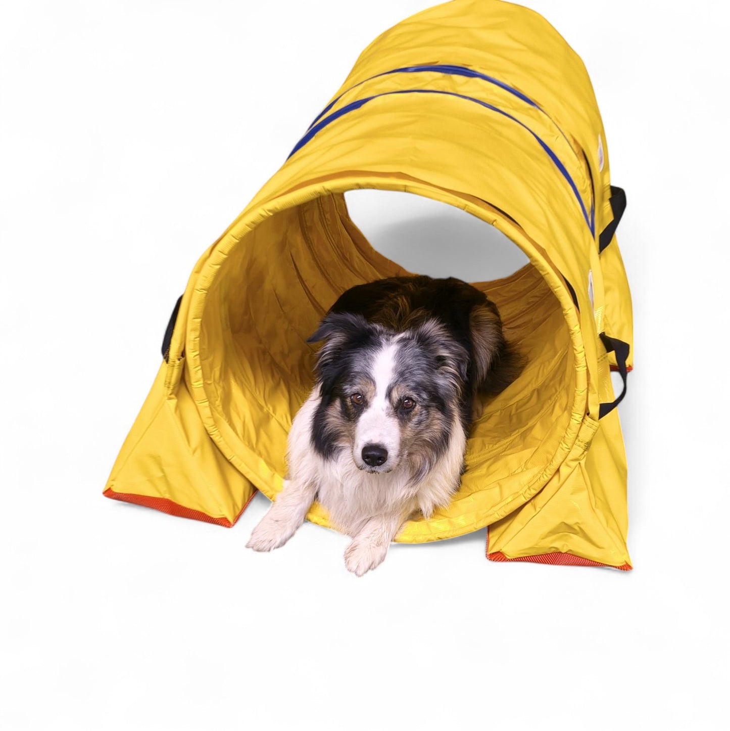 Callieway_Hoopers_Tunnel_60cm_1m_Yellow