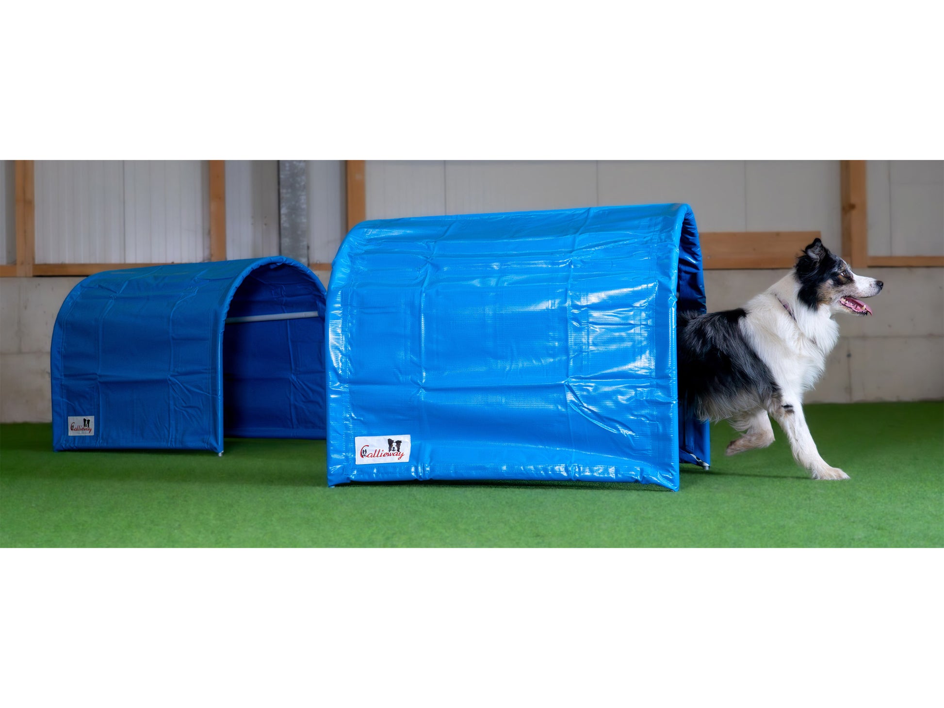 Callieway BOLO des Alps II Hoopers Tunnel Blau im Hoopers Training