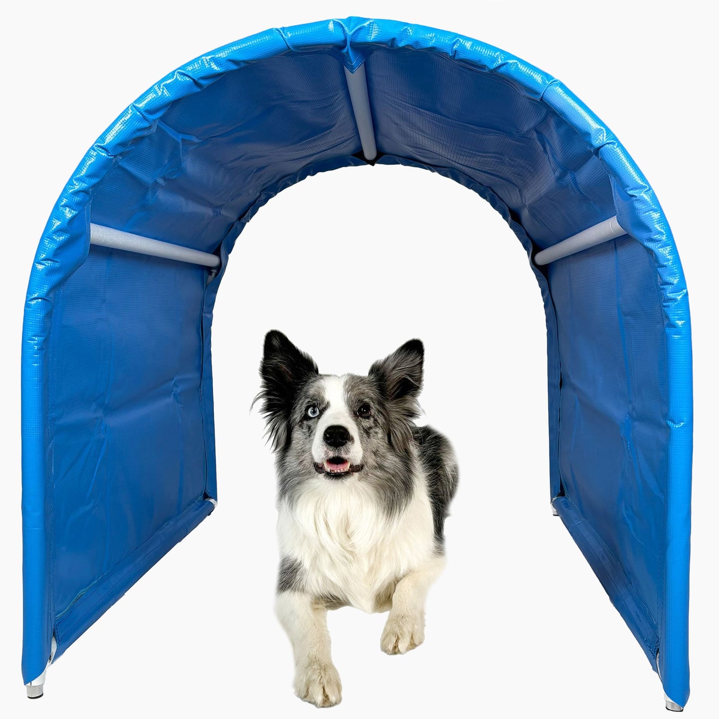 Callieway Hoopers Tunnel blau mit Hund