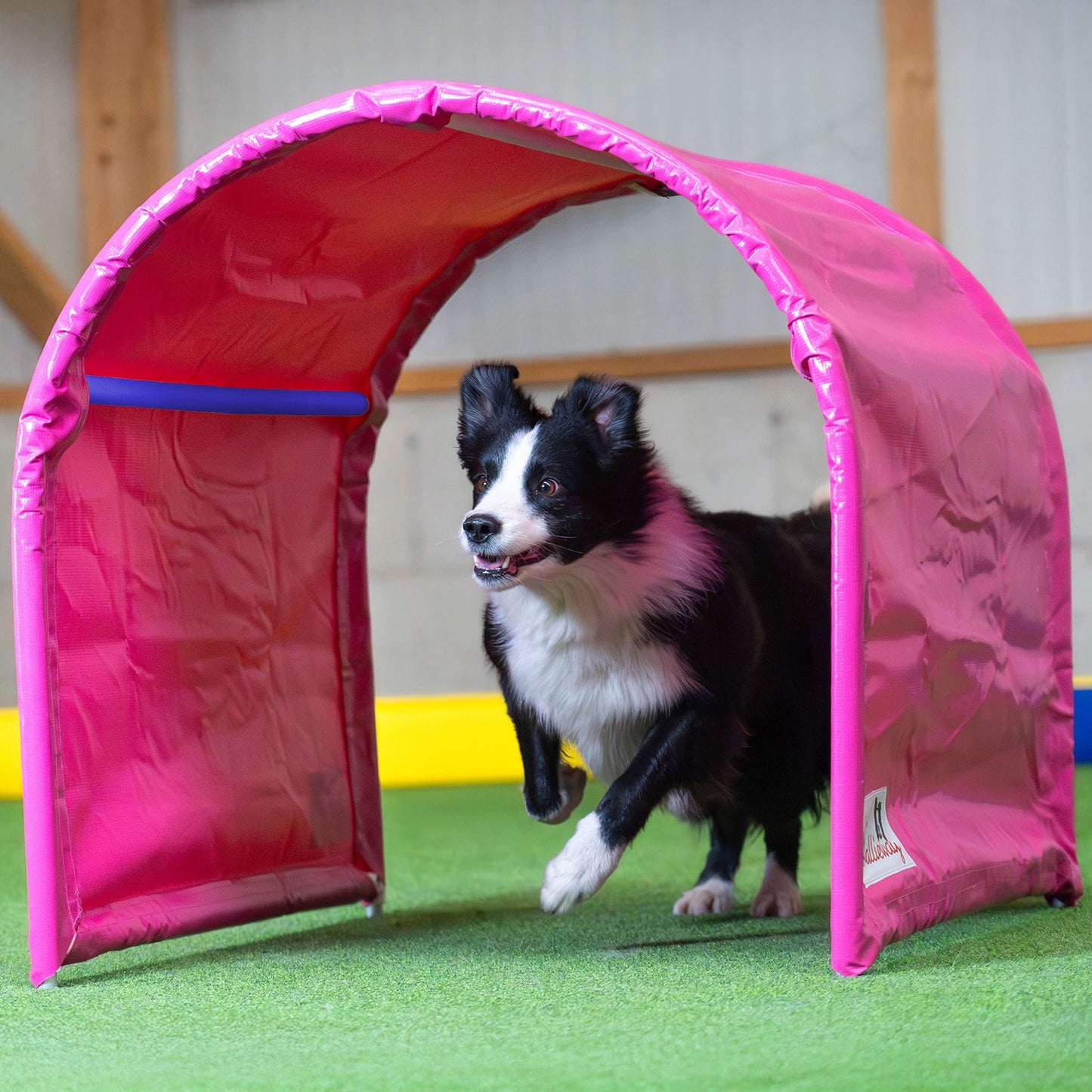BOLO-des-Alpes Hoopers Tunnel – Doppelpack 2×1 m | Callieway®