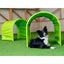 BOLO-des-Alpes Hoopers Tunnel – Doppelpack 2×1 m | Callieway®