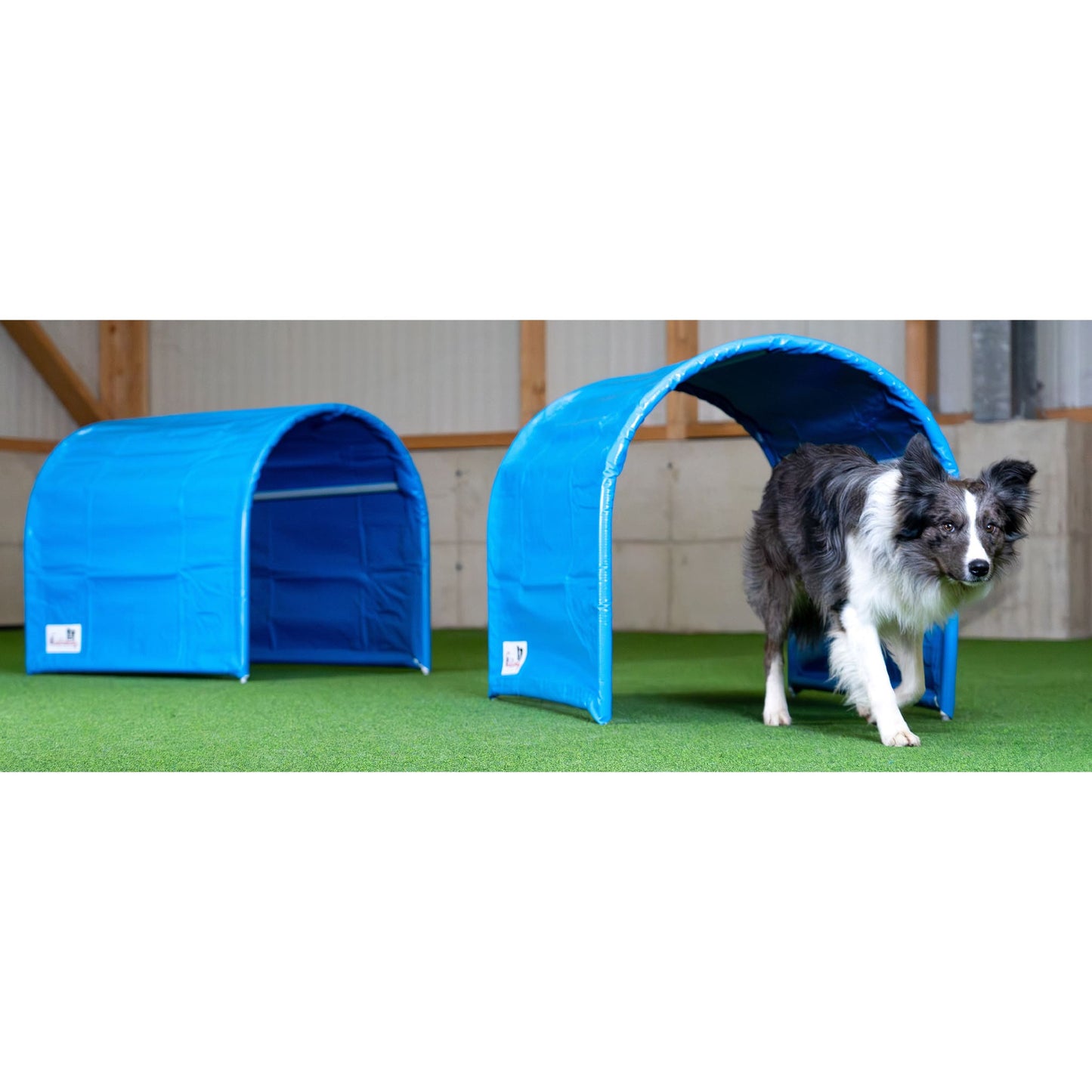 2x CHUTE BOLO-des-Alpes Hoopers Tunnel **1 m/90cmØ |  Canine Hoopers UK conform