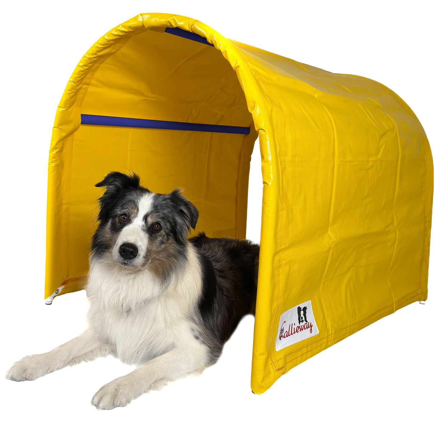 BOLO-des-Alpes Hoopers Tunnel – Doppelpack 2×1 m | Callieway®