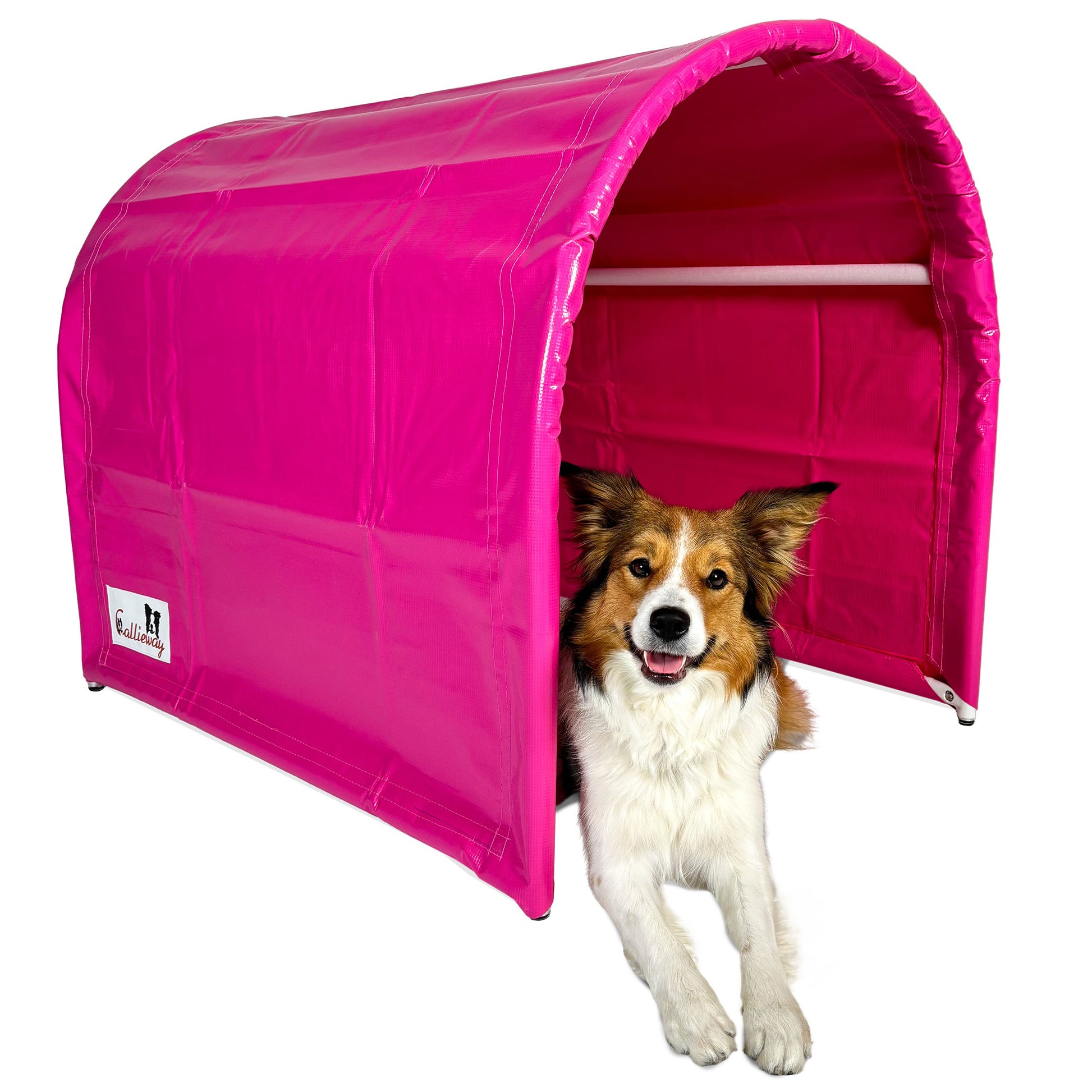 Callieway BOLO des Alps II Hoopers Tunnel Fuchsia im Training