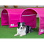 Hund trainiert mit Callieway BOLO des Alps II Hoopers Tunnel Fuchsia
