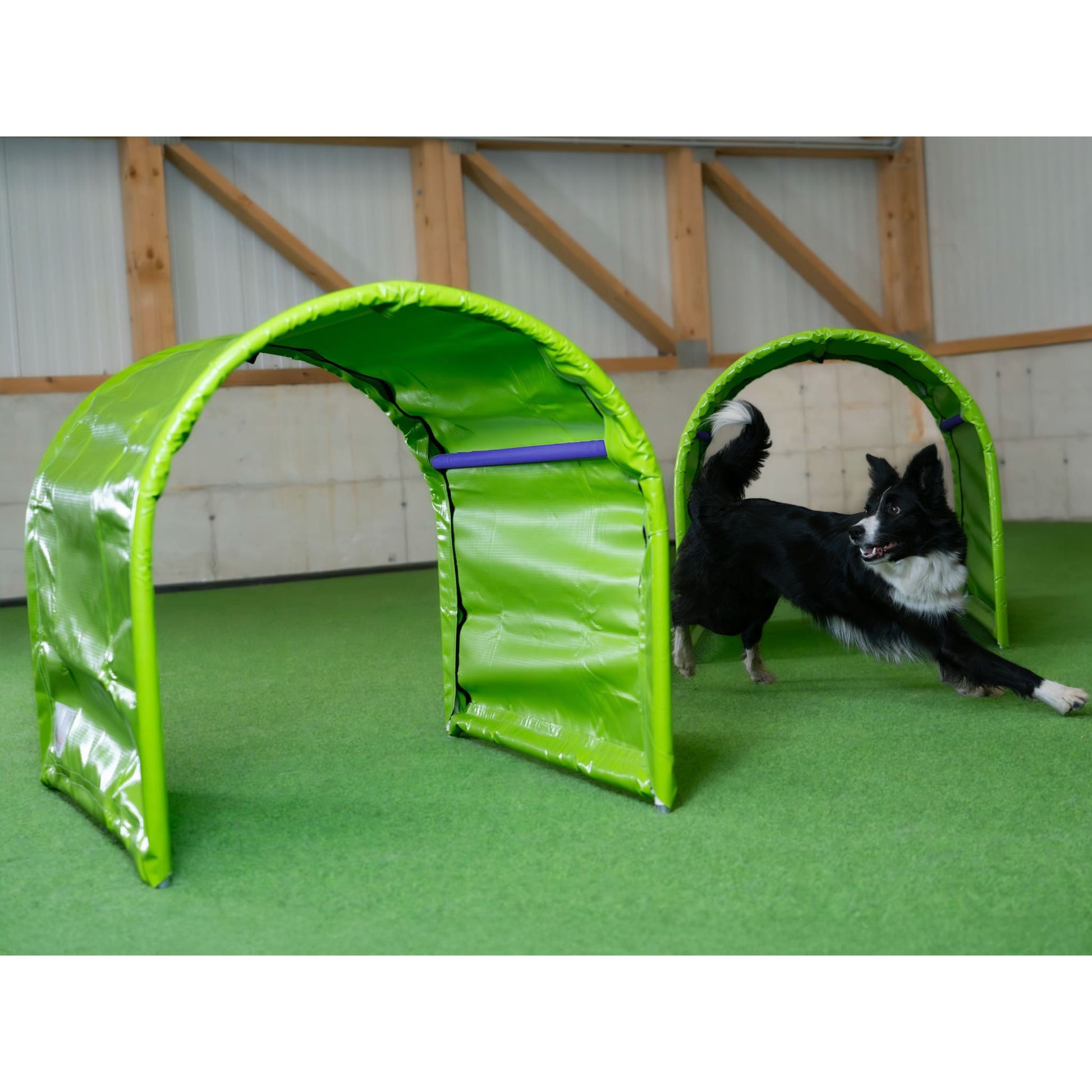 Callieway Hoopers Tunnel im Hundesport Parcours