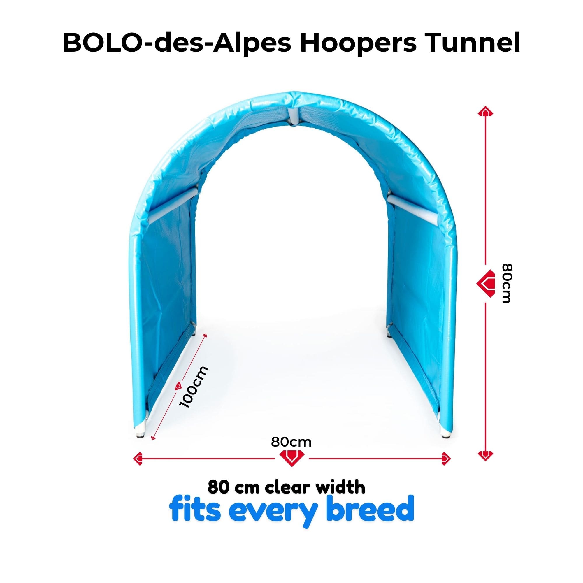 Hoopers Tunnel in cyan color with size