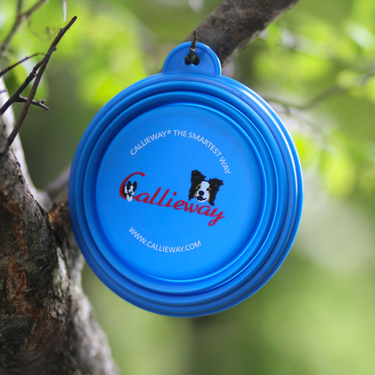 Callieway faltbarer Hunde Futternapf aus Silikon in Blau