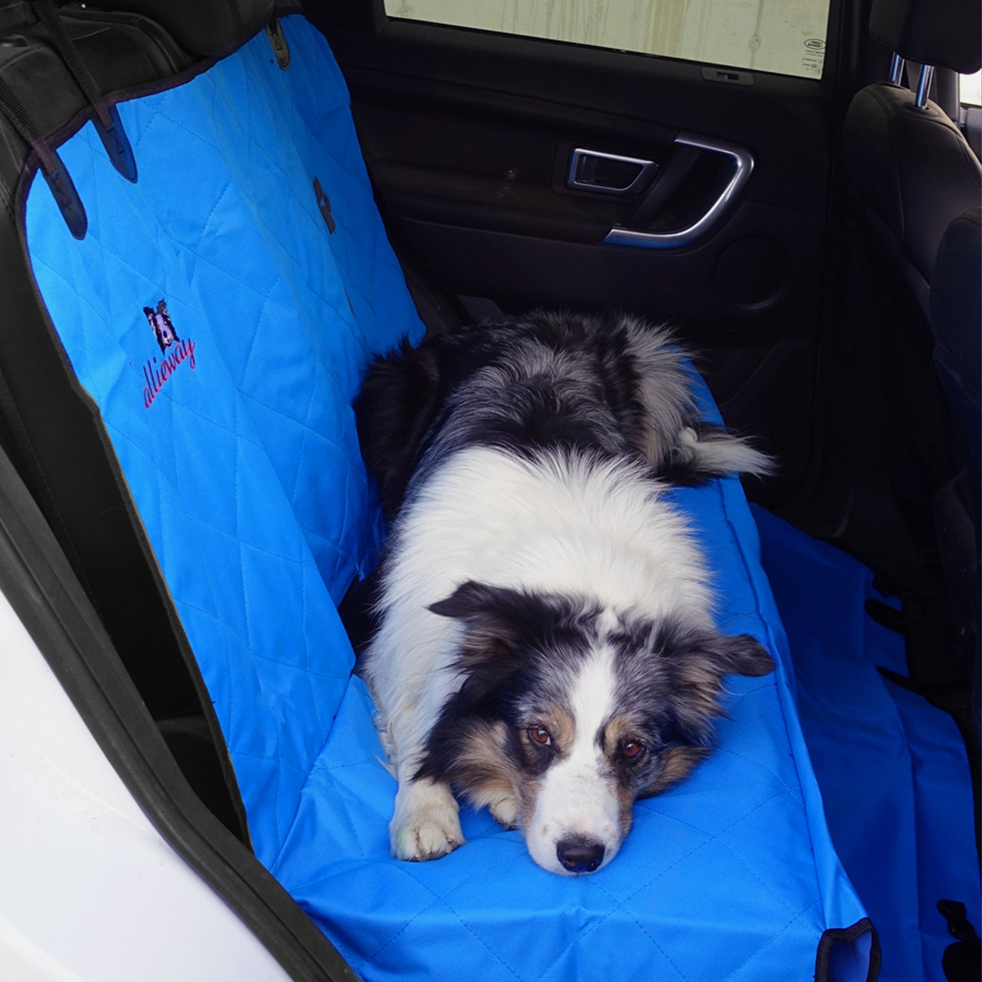 Hund sitzt auf Callieway Autoschutzdecke auf der Rückbank