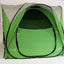 Callieway Kwiki Tent Green Interior