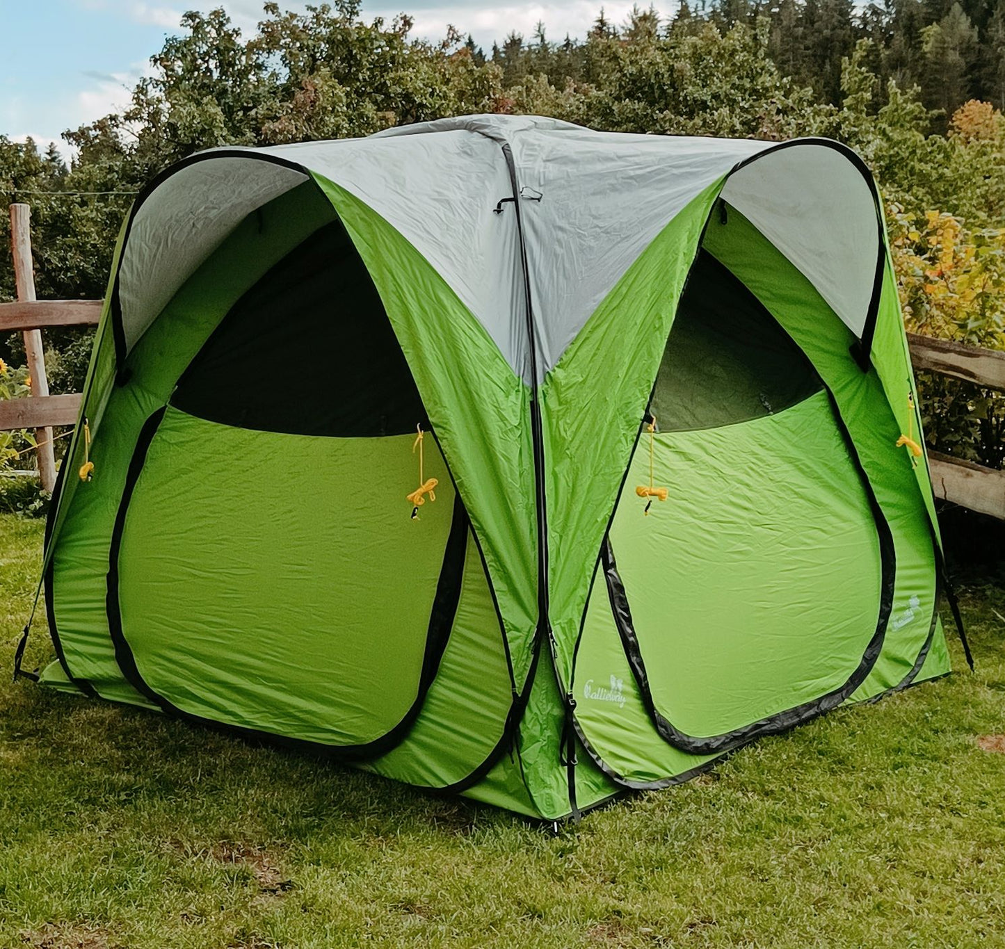 Callieway Kwiki tent on a natural meadow