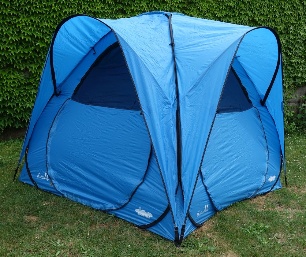 Hund im Callieway Kwiki Zelt Ocean Blue