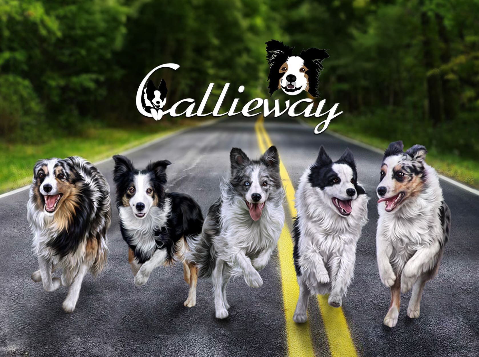 Callieway Landingpage Bild mit Hundetraining Gruppe