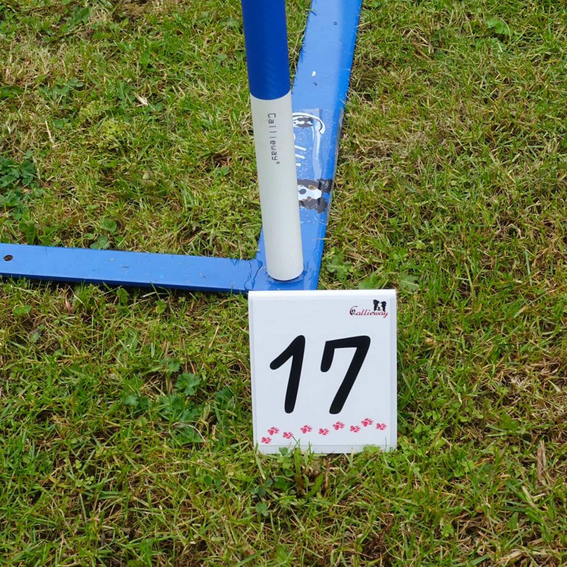 Callieway Parcoursnummer 17 auf Aufsteller im Hundesport