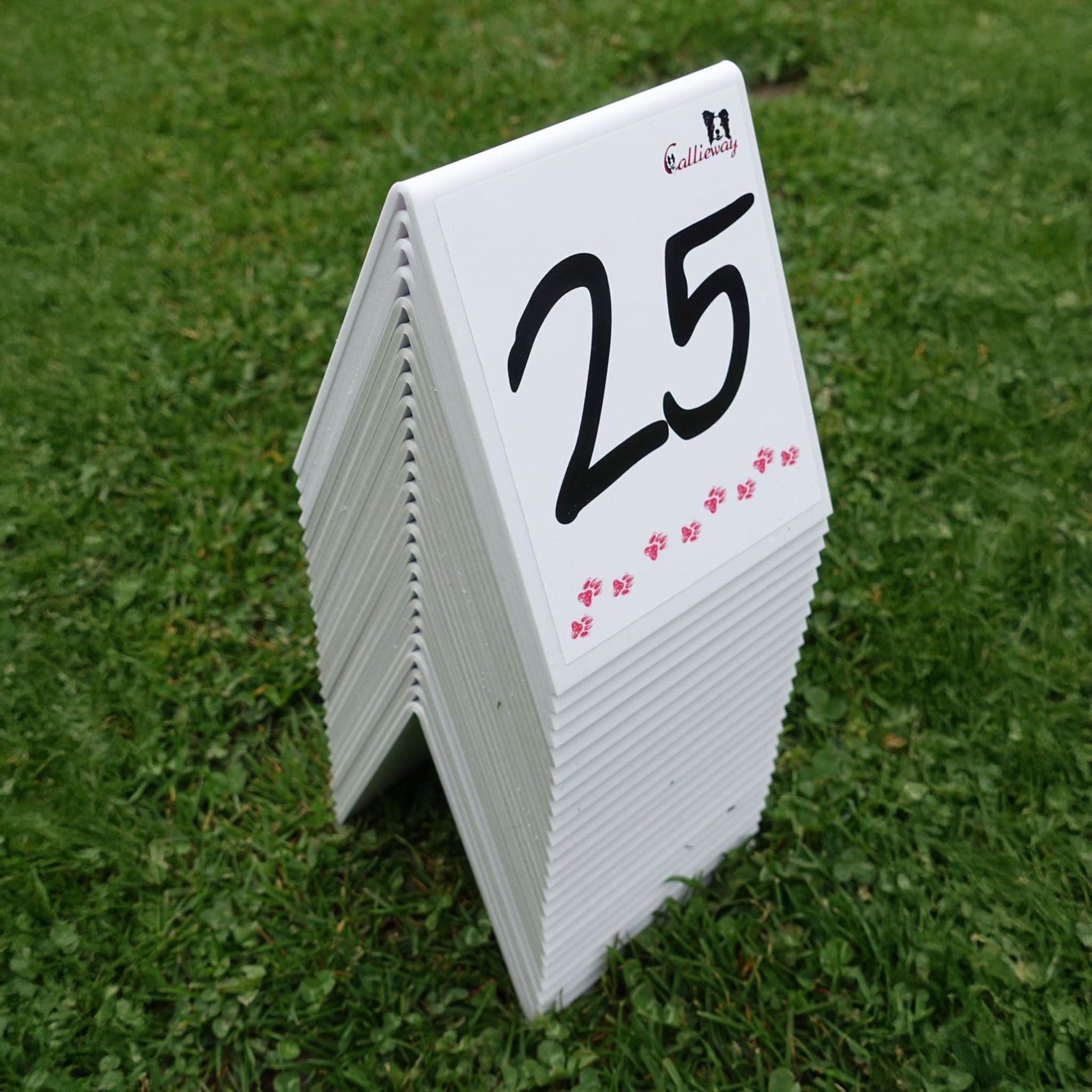 Callieway Parcoursnummer 25 auf Agility Aufsteller