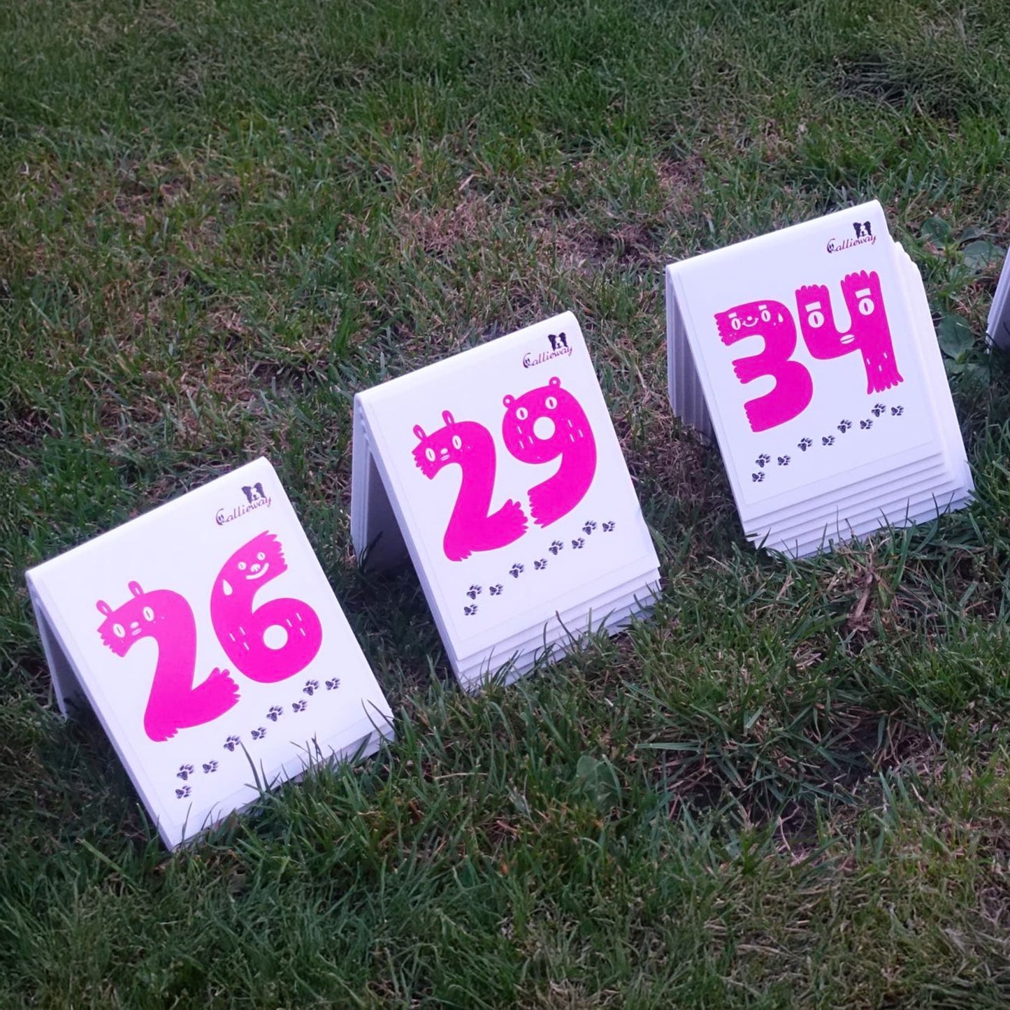 Pinkfarbene Callieway Parcoursnummer Karten