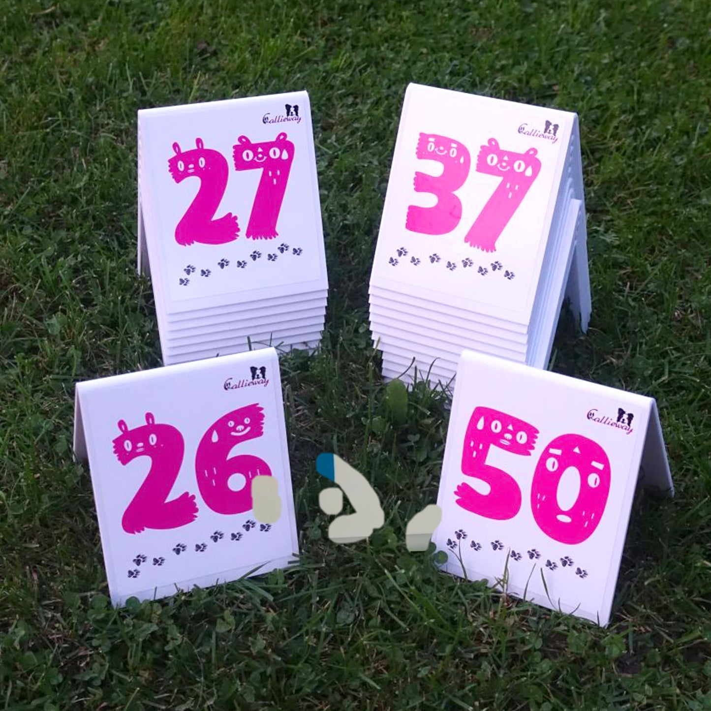 Callieway nummerierte Parcourskarten für Agility Training