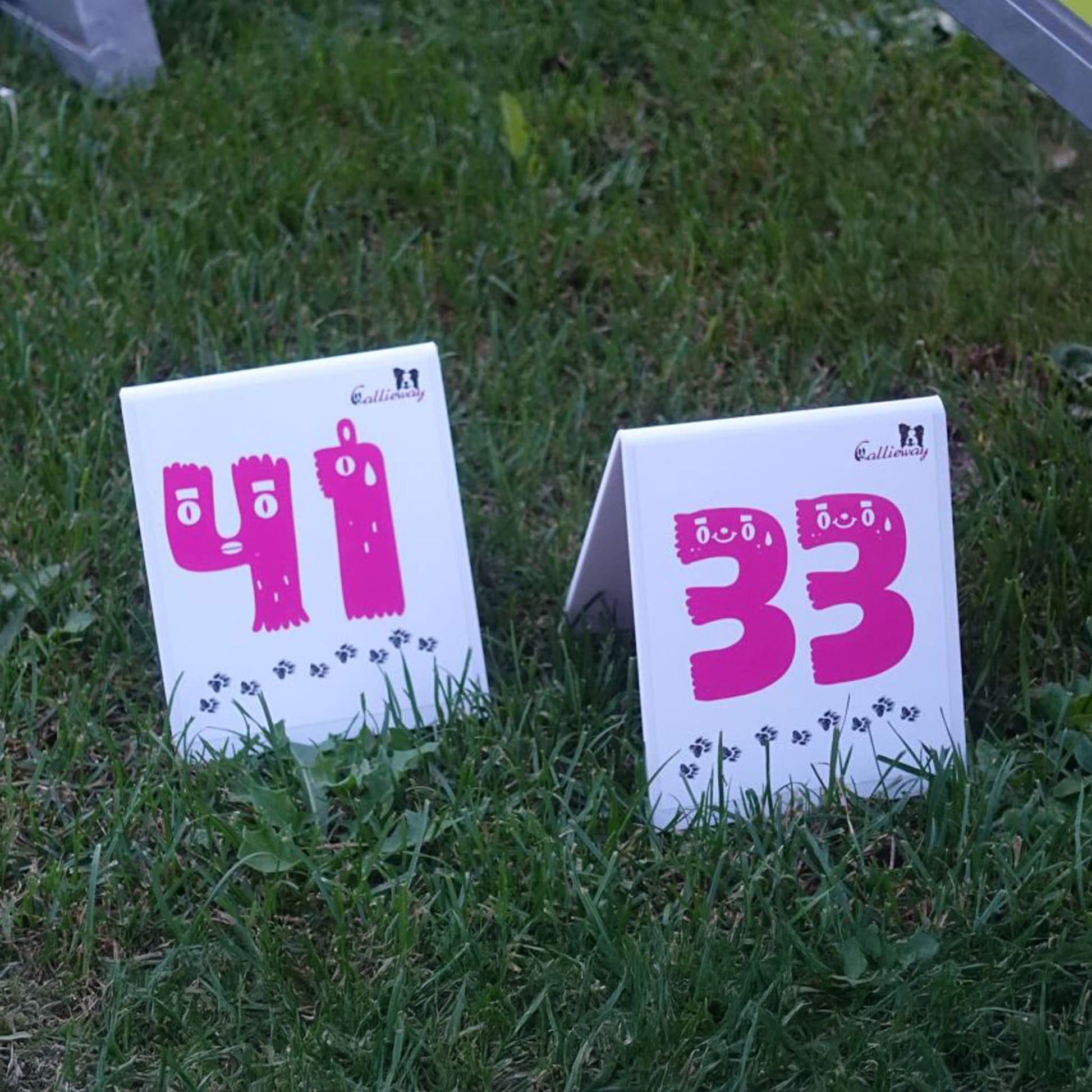 Callieway Parcoursnummern auf Wiese im Training aufgebaut