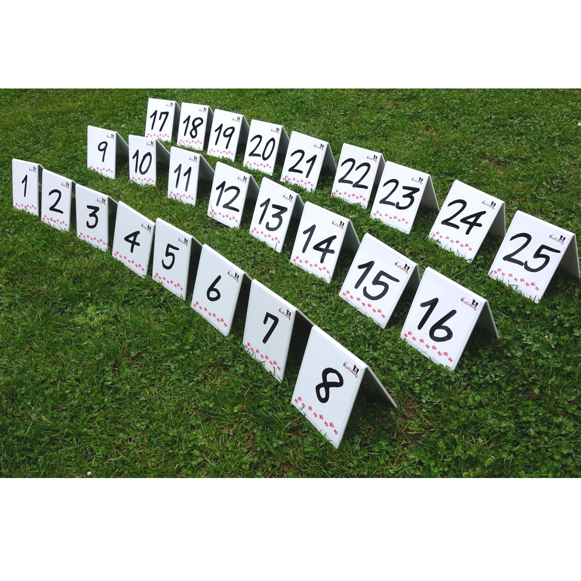 Reihe von Callieway Parcoursnummern im Training