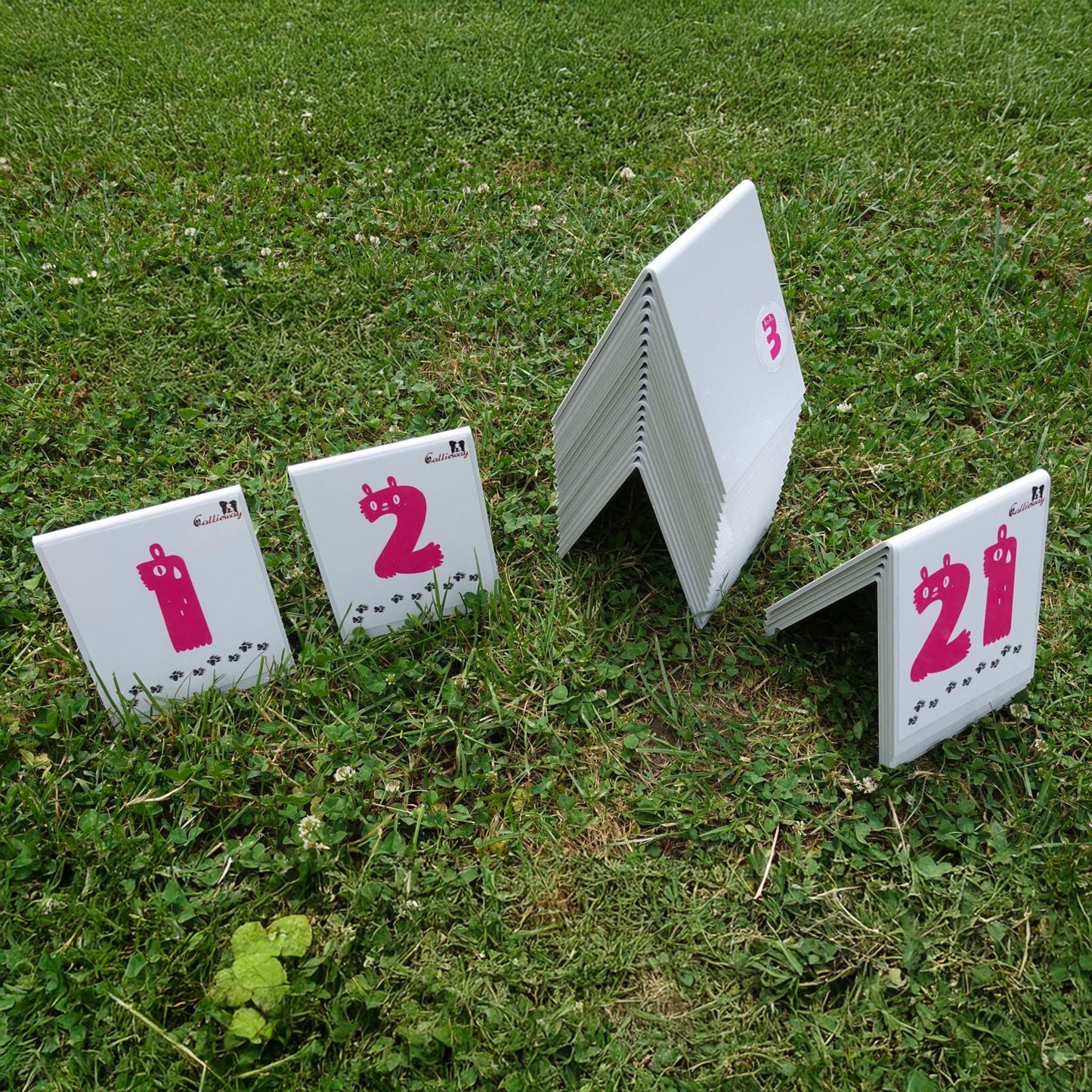 Callieway Parcoursnummern im Hundetraining aufgestellt
