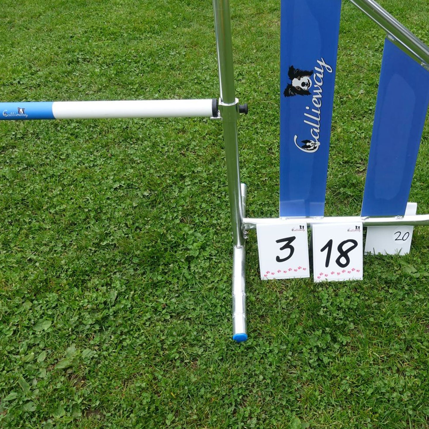 Callieway Parcoursnummern im aufgebauten Hundesport Parcours