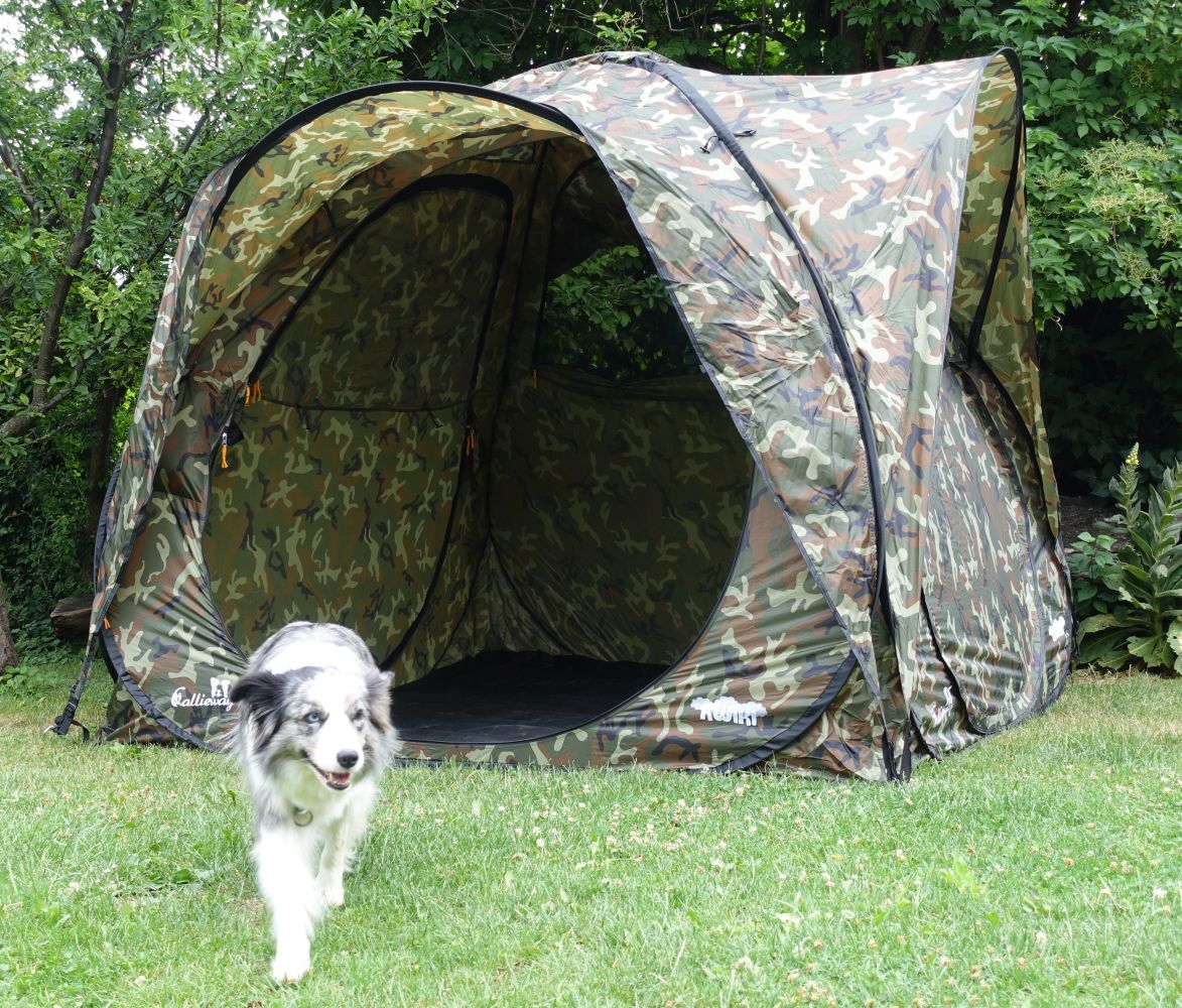Callieway Pop-Up Eventzelt im Camouflage Design auf Wiese mit Hund vor dem Zelt