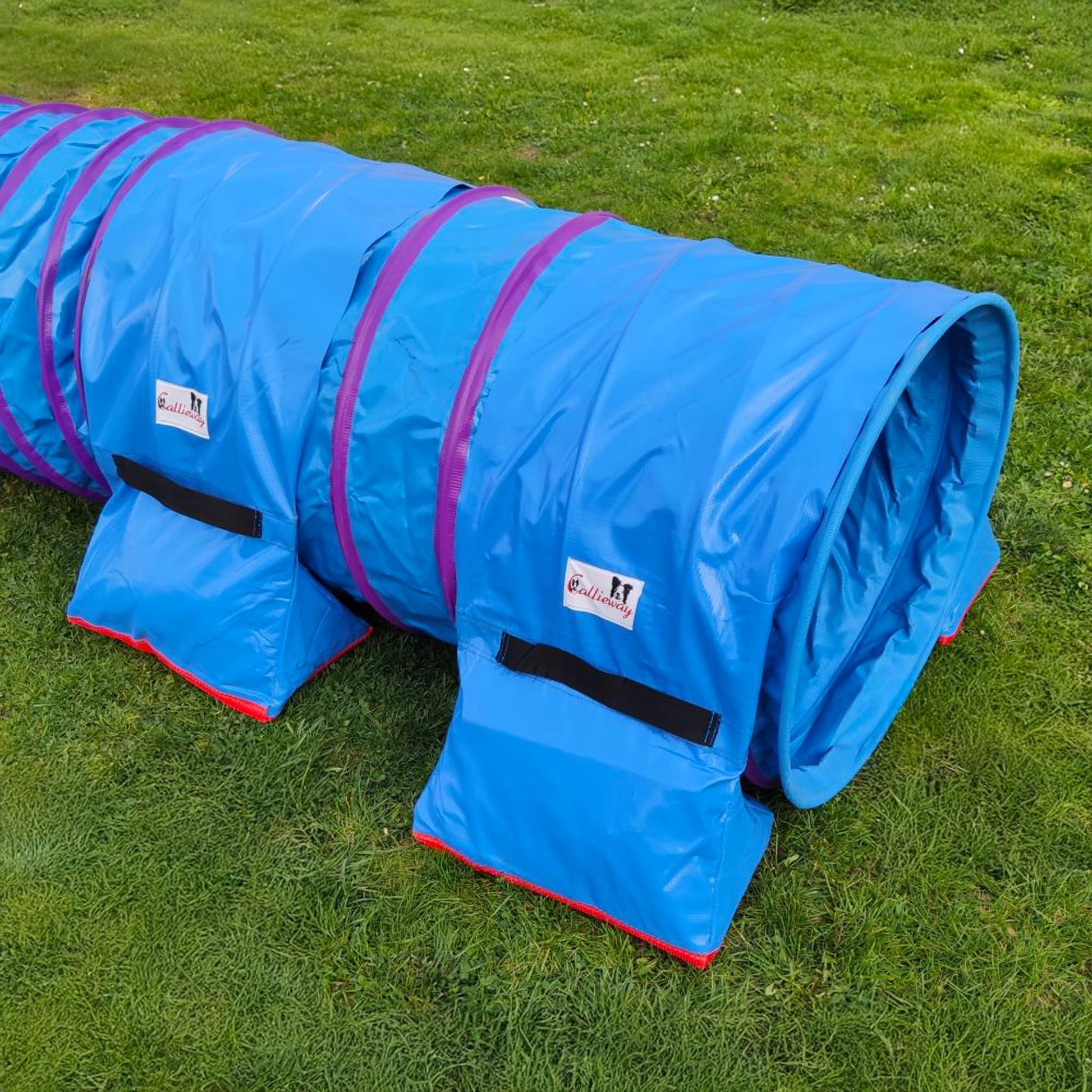 Callieway Premium Stützsandsack Blau stabilisiert einen Agility Tunnel