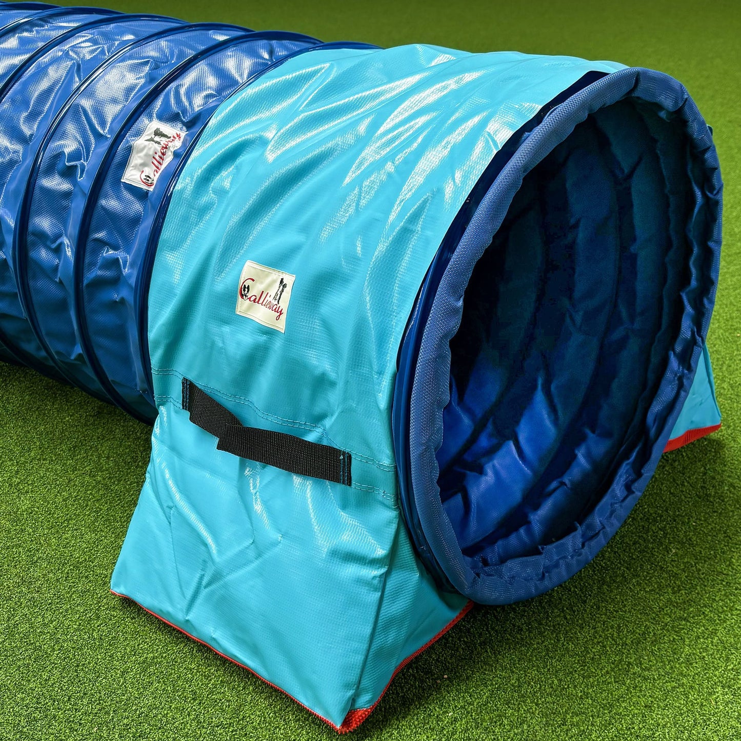 Callieway Premium Tunnelsack Cyan fixiert einen Agility Tunnel