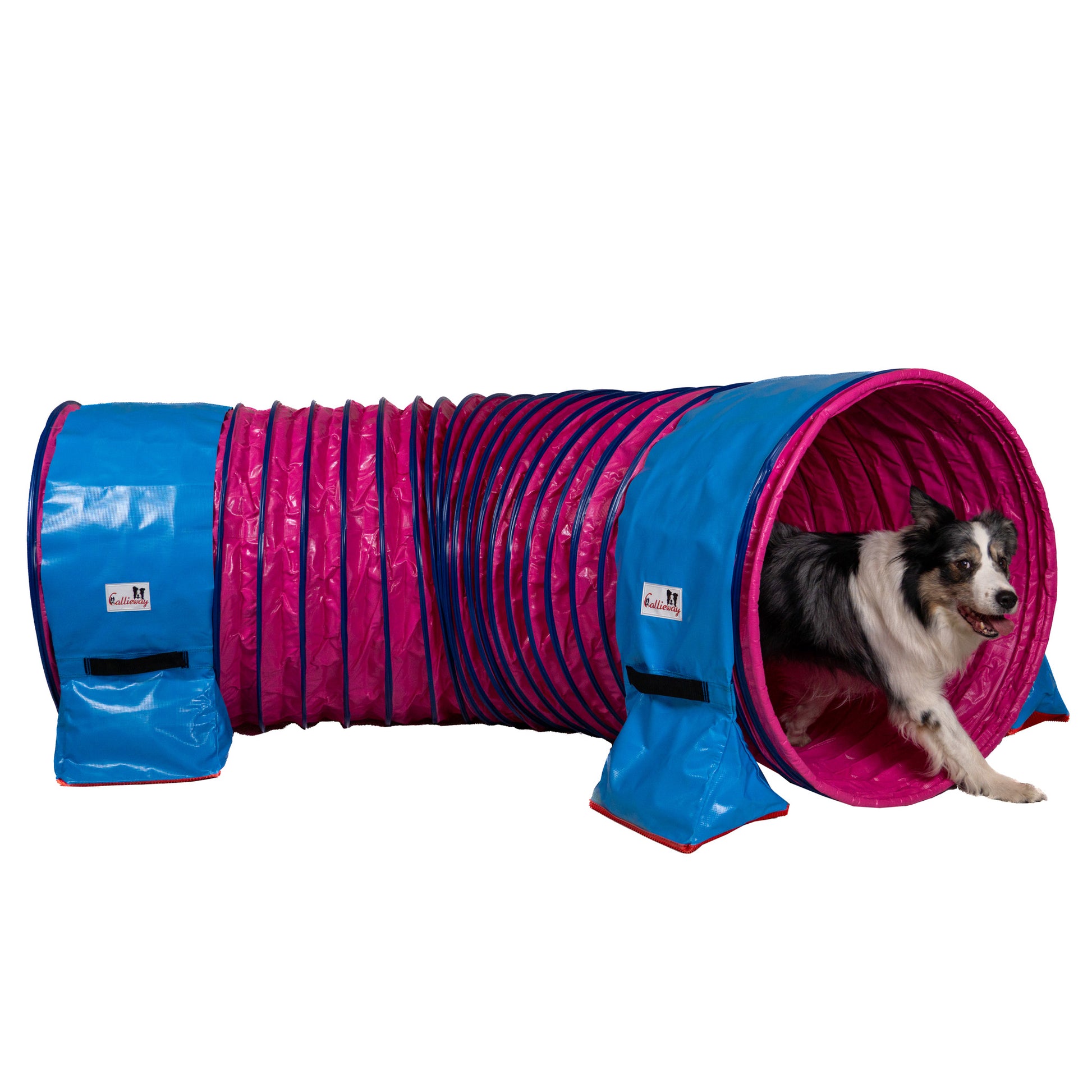 Callieway Agility Hundetunnel Ø80 cm und 3 m Länge in Fuchsia