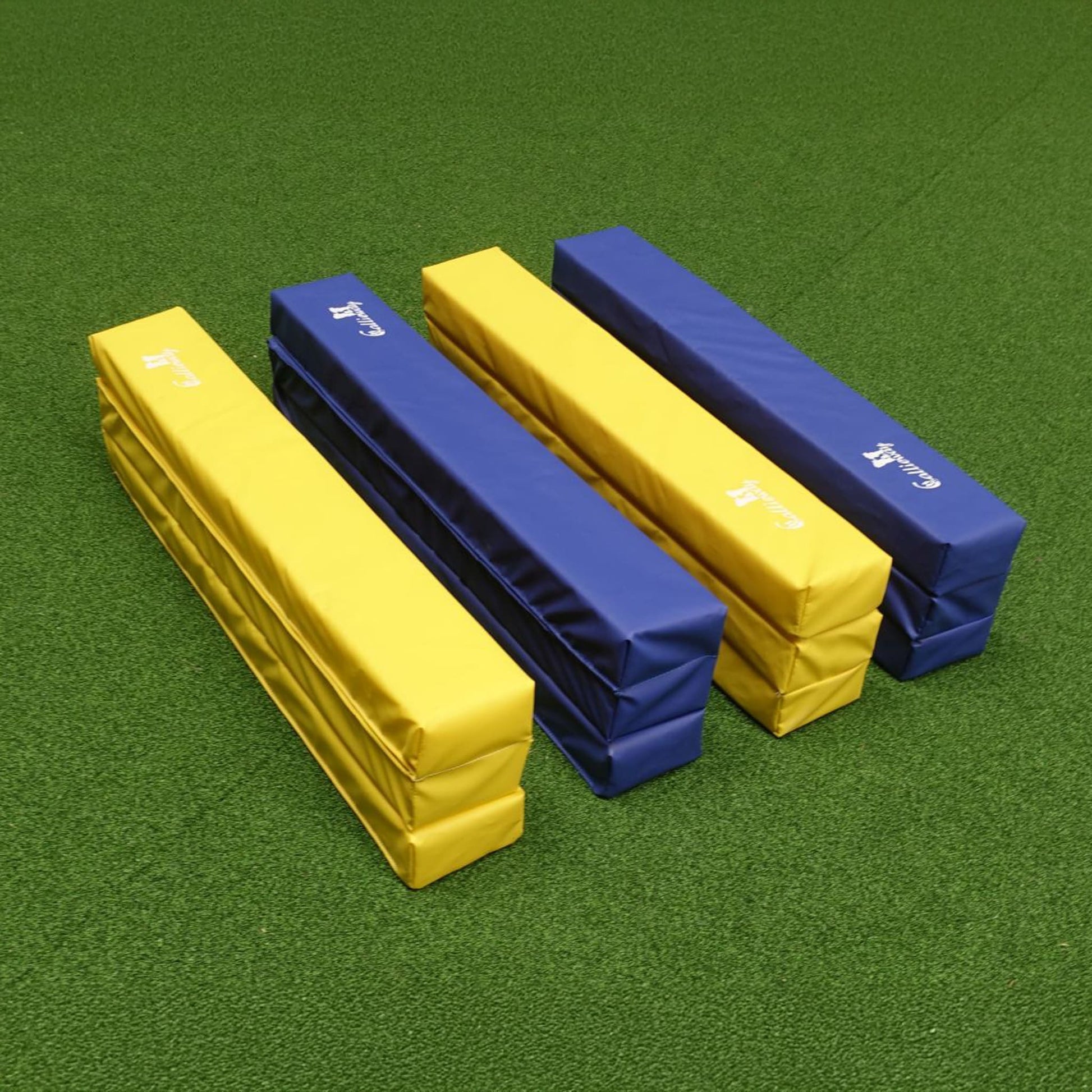 Hundetraining mit Callieway Runway Bodenarbeits Bahnen