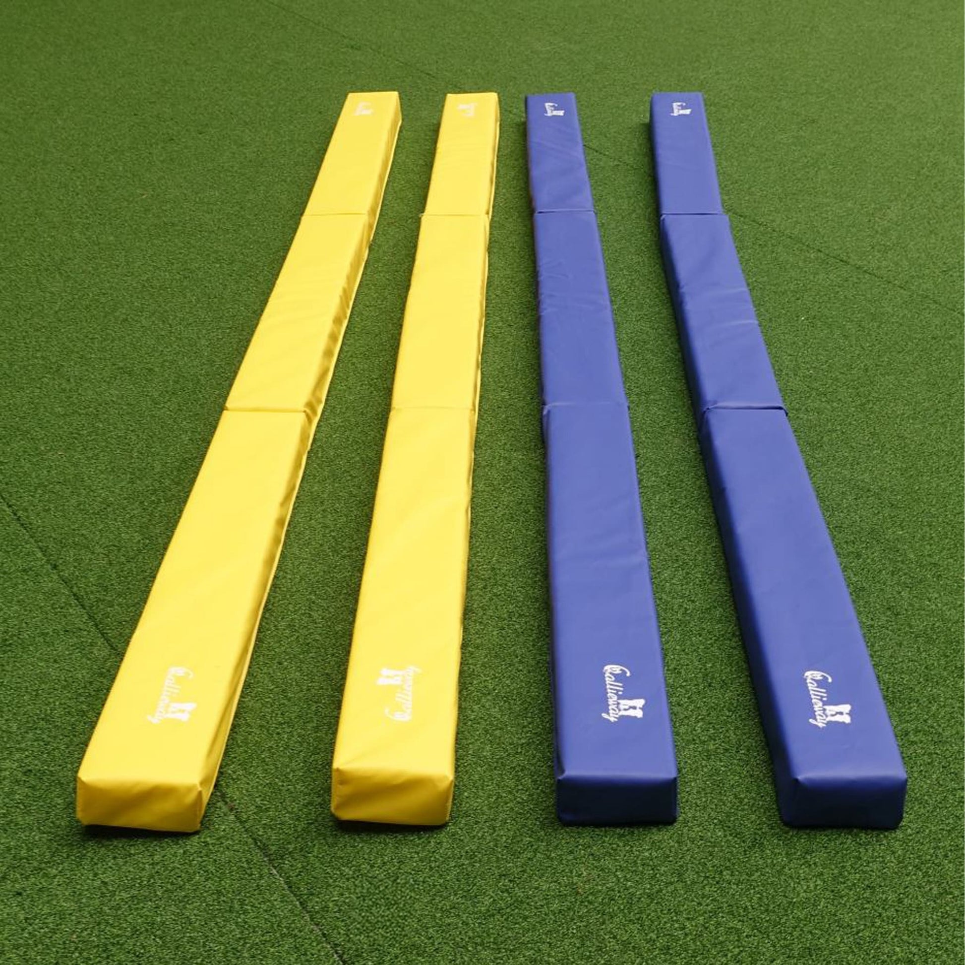 Callieway Runway Bodenarbeits Bahnen für Hundetraining