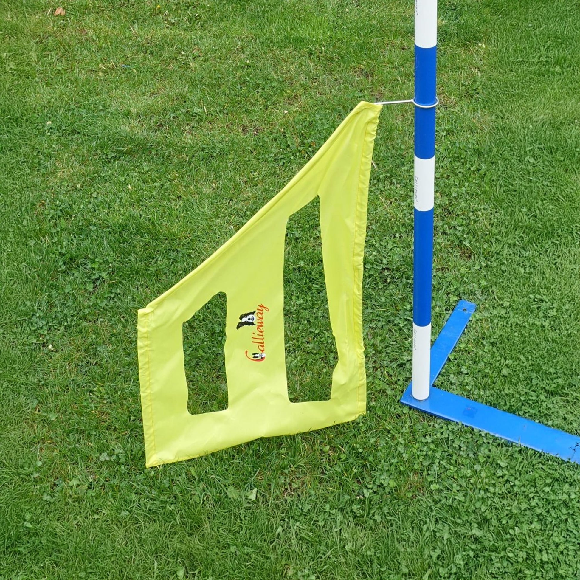 Aufbau der Callieway Agility Slalom Trainingshilfe