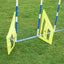 Hundetraining mit Callieway Agility Slalom Trainingshilfe